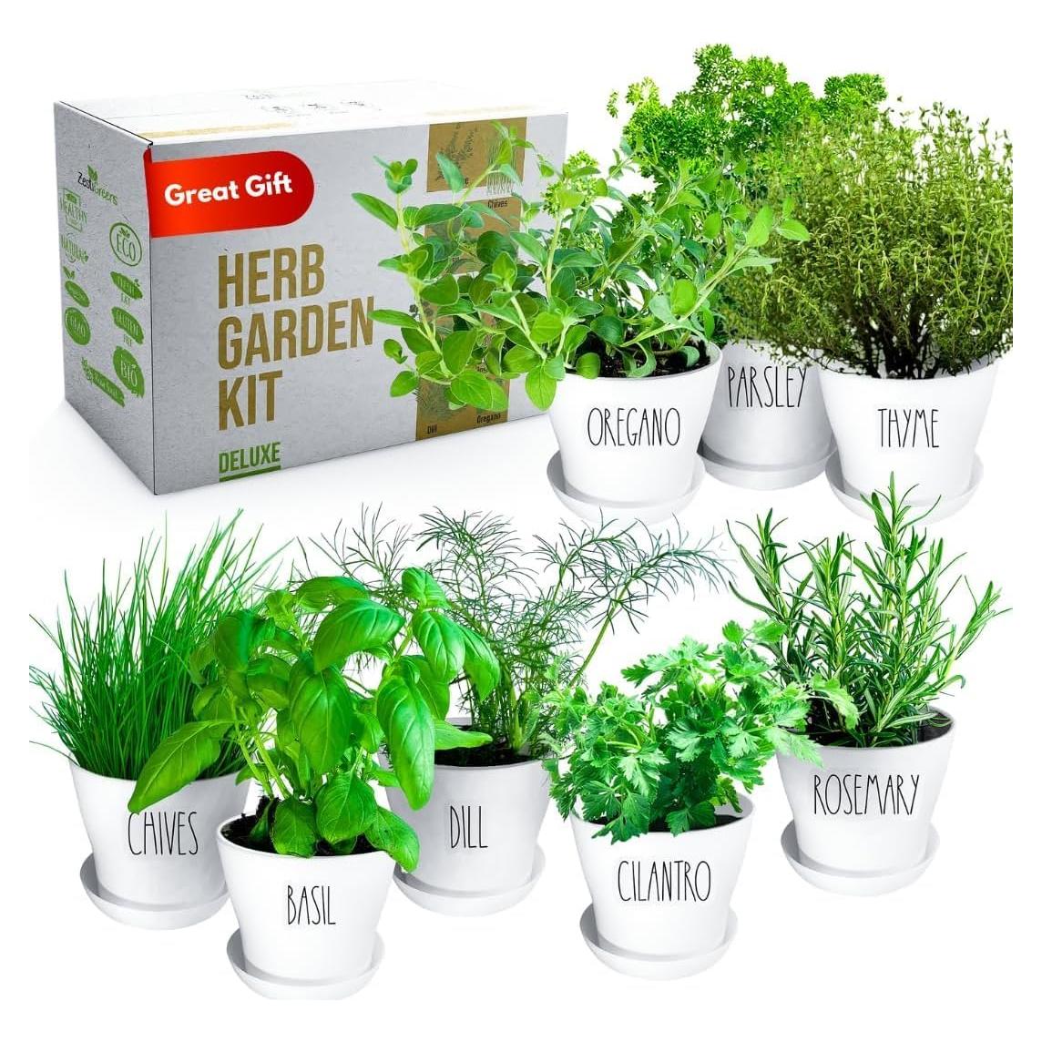 Kit de Jardín de Hierbas ZESTIGREENS - 8 Variedades Orgánicas