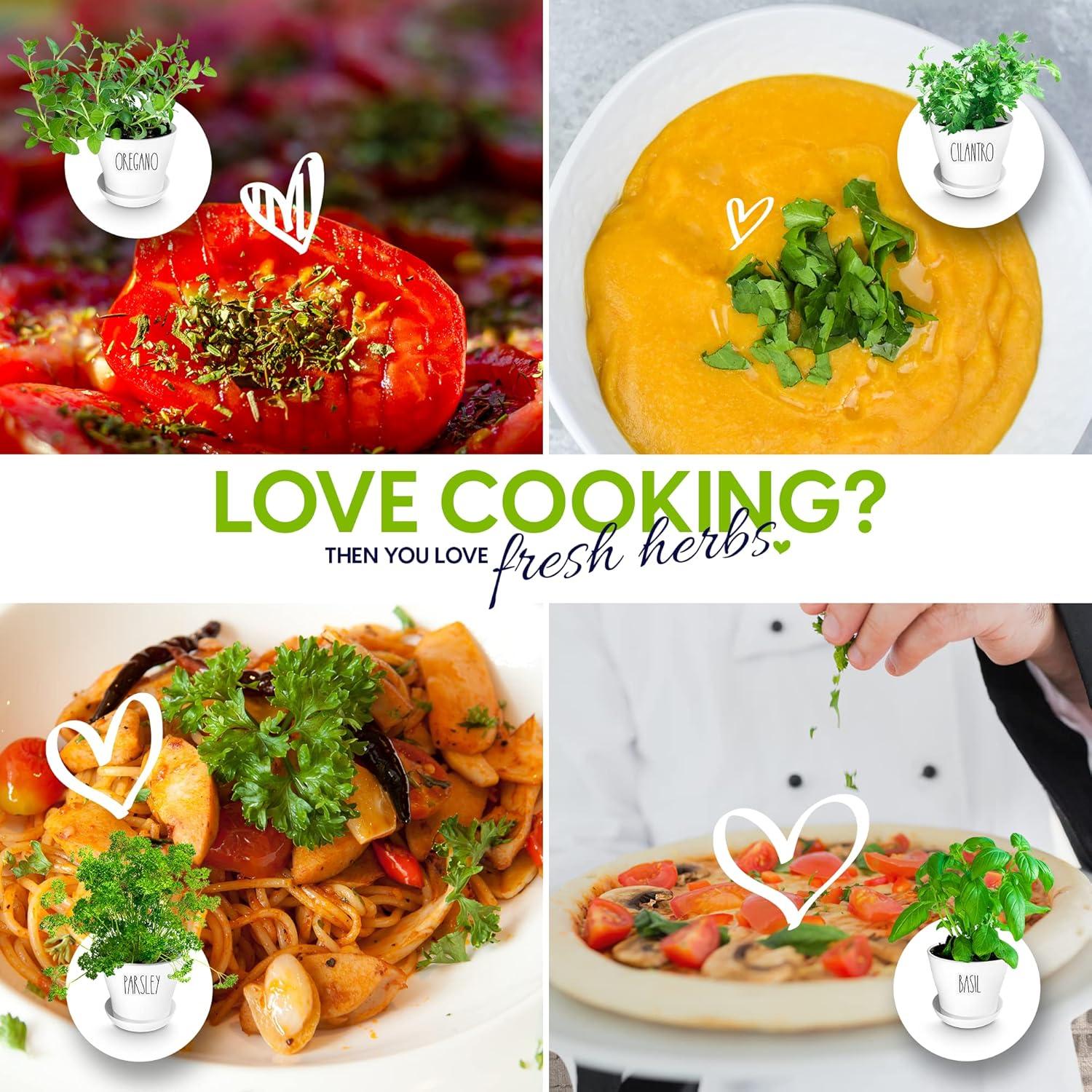 Kit de Jardín de Hierbas ZESTIGREENS - 8 Variedades Orgánicas