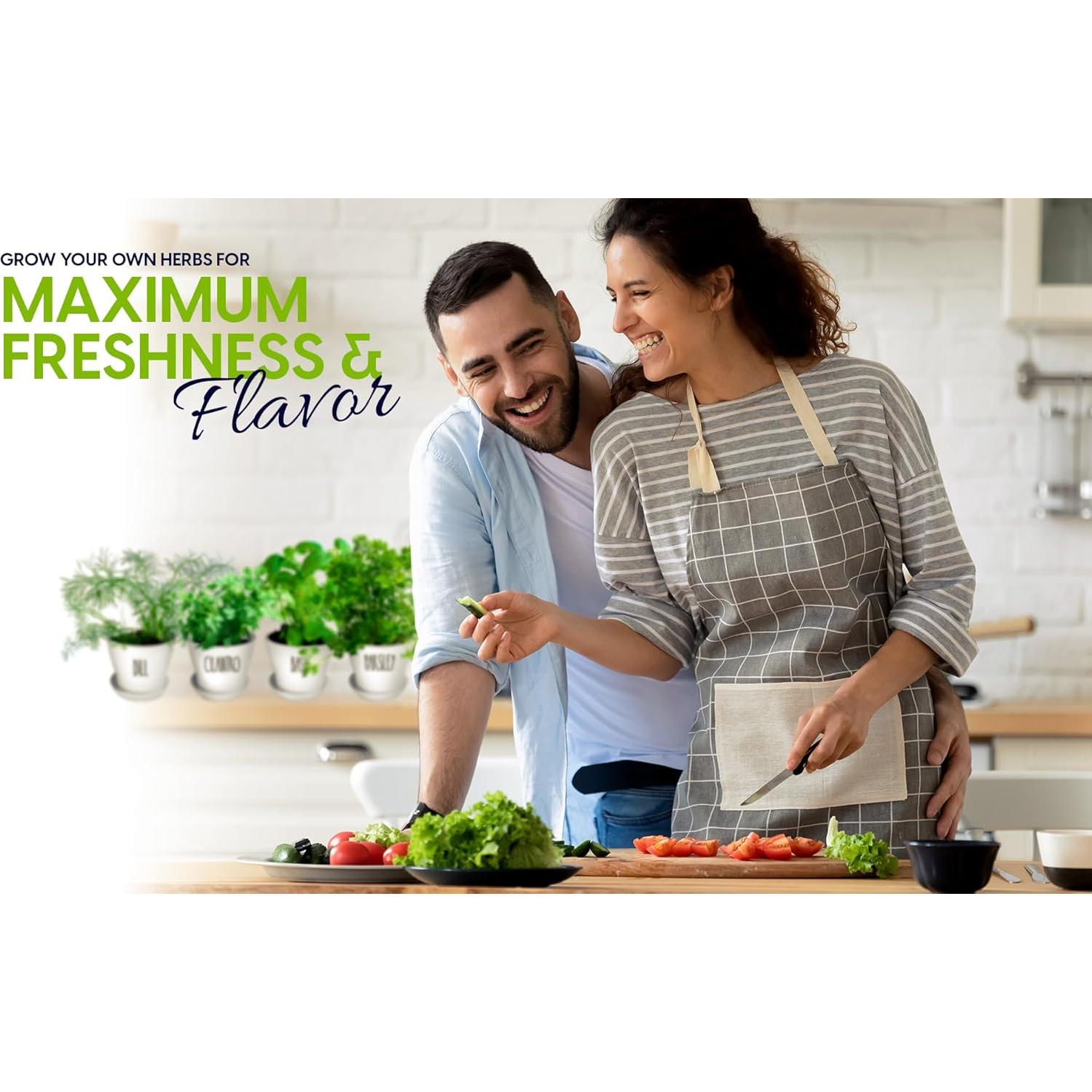 Kit de Jardín de Hierbas ZESTIGREENS - 8 Variedades Orgánicas