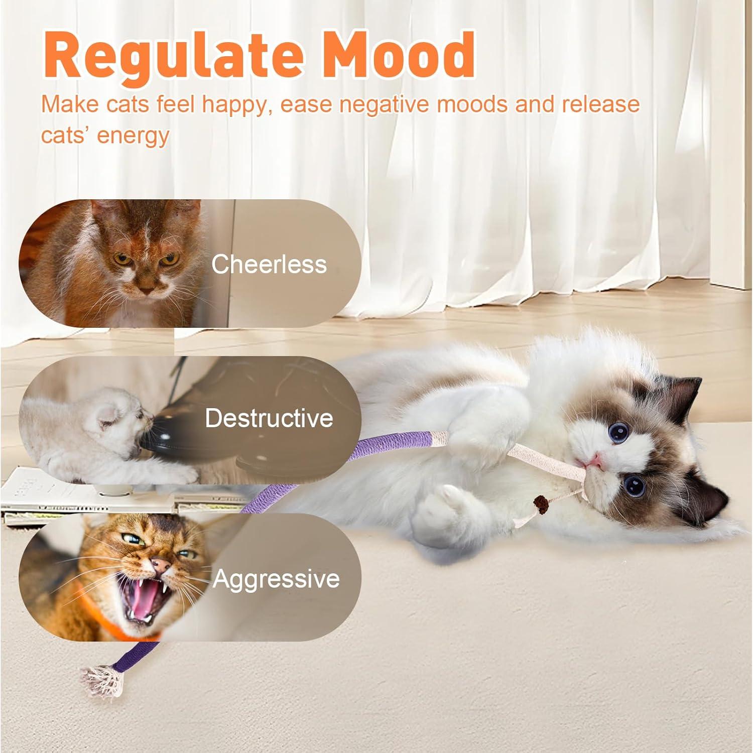 3 Juguetes para Gatos TEAWOO Cuerda Catnip 70 cm Salud Dental