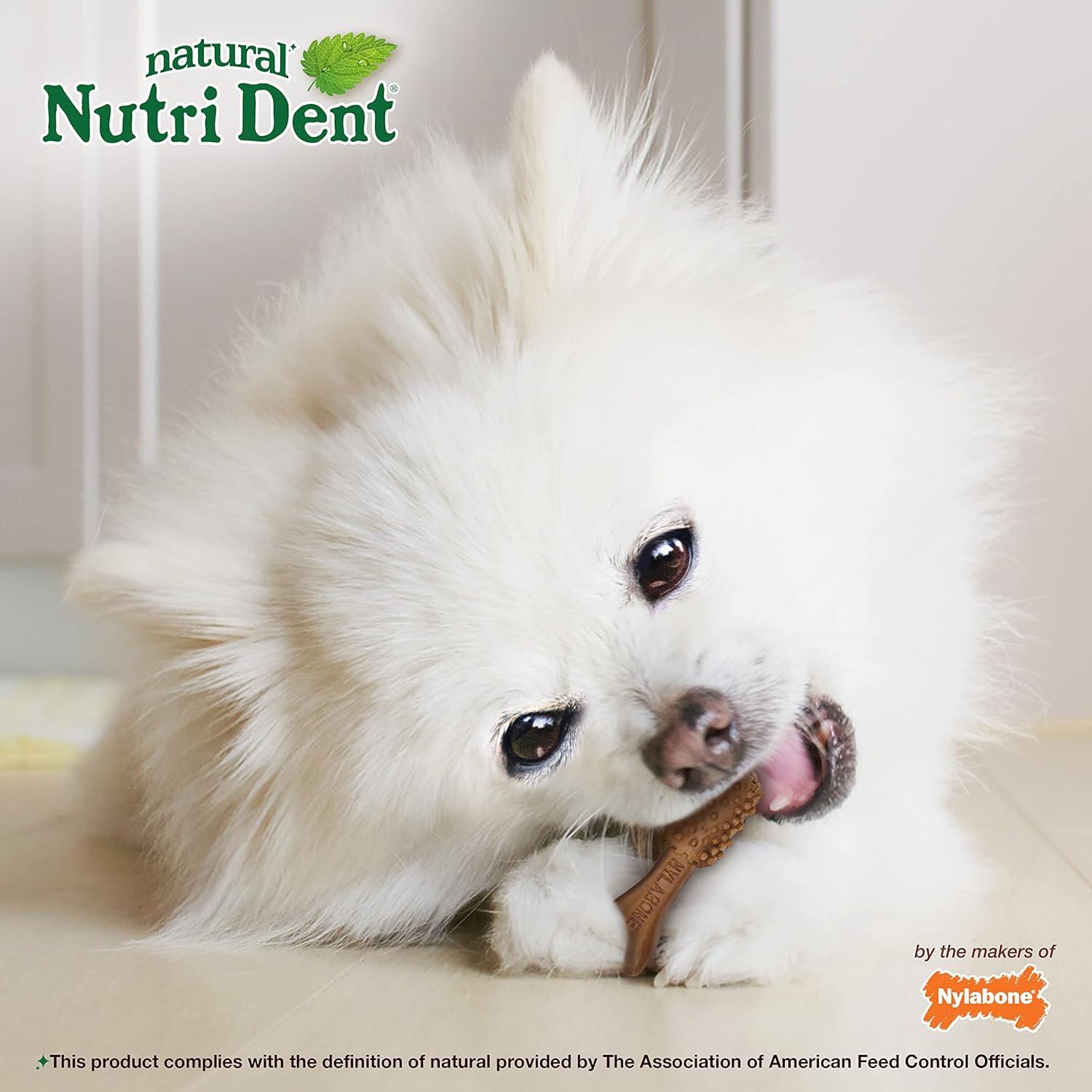 Golosinas Dentales para Perros Nylabone Nutri Dent Filete Mignon 156g