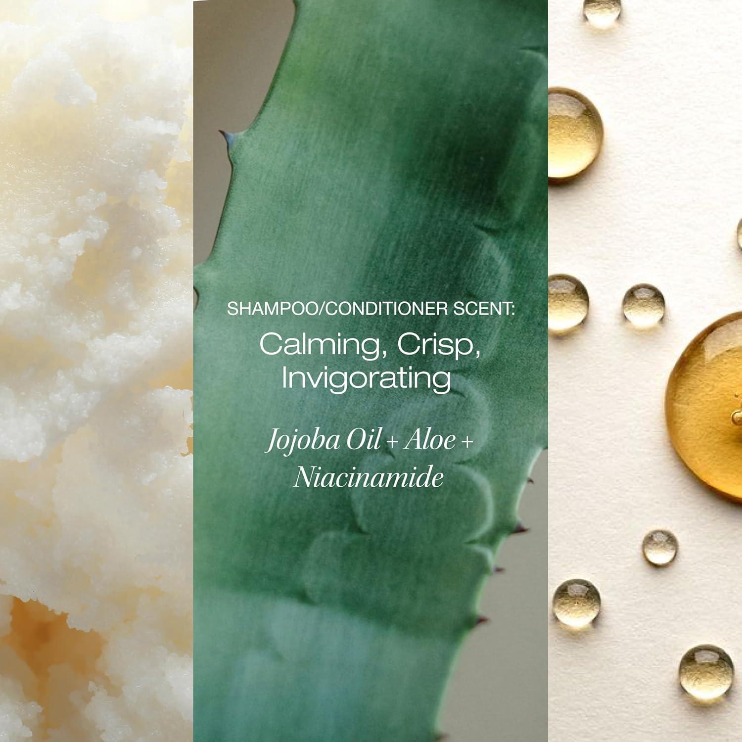 Conjunto de Cuidado del Cabello Raw Sugar Scalp Restore 1.41kg