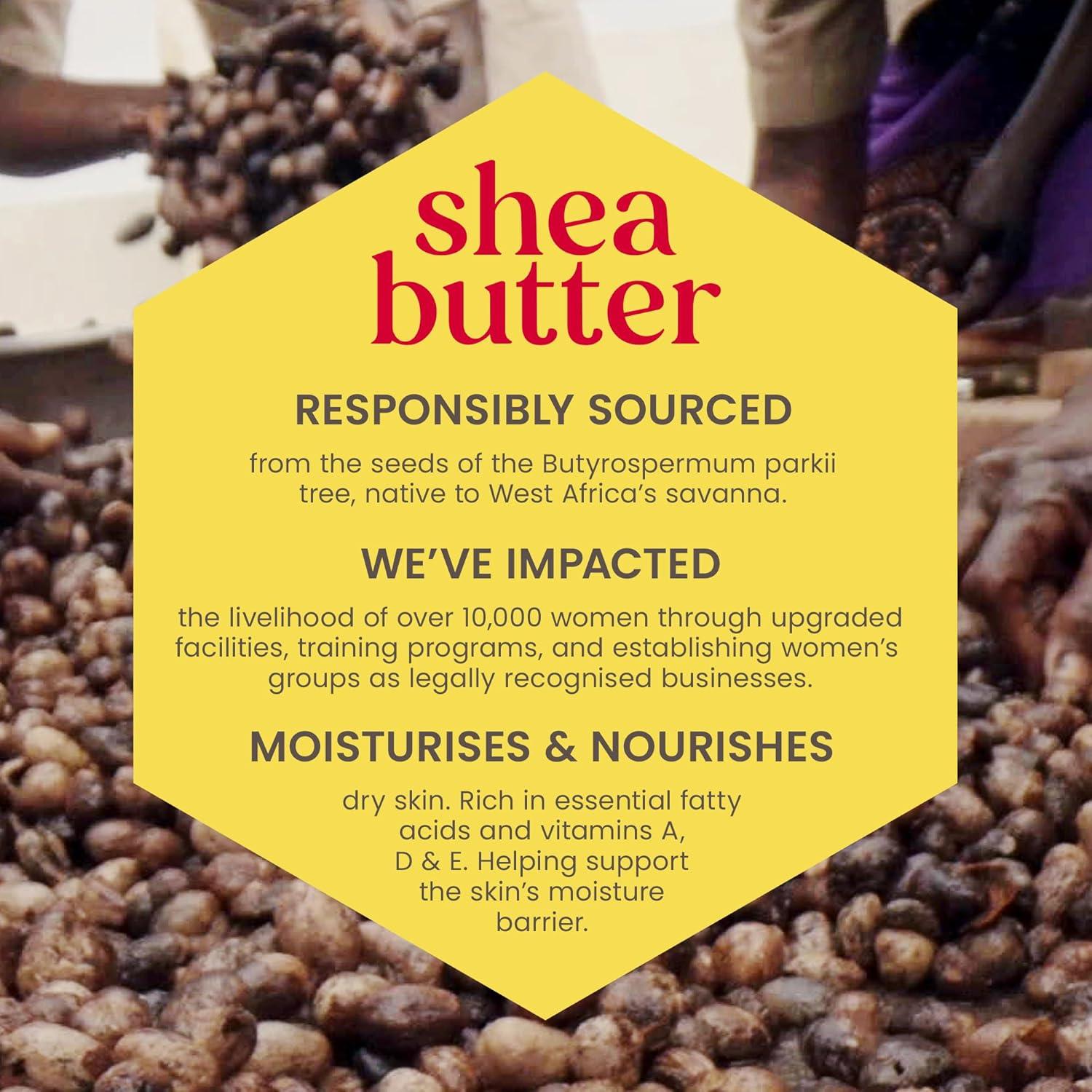 Brillo Labial Burt's Bees 100% Natural Ciruela 10.2g