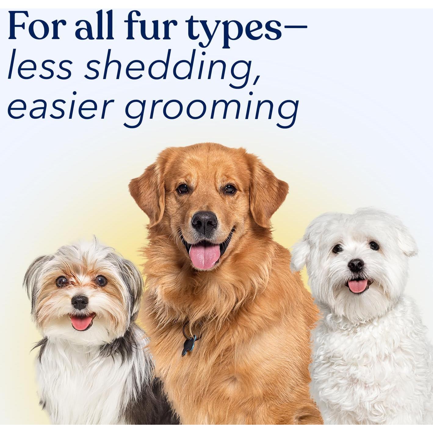 Champú Seco para Perros Honest Paws - Avena y Lavanda 178.6 g