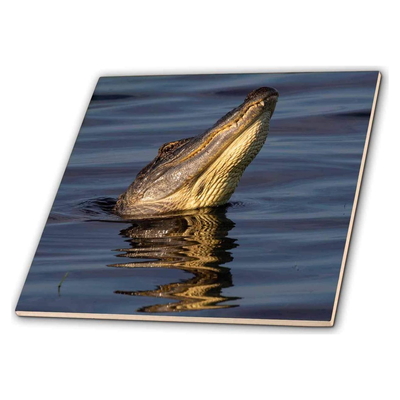 Azulejo de cerámica 3dRose 10x10 cm Caimán Americano