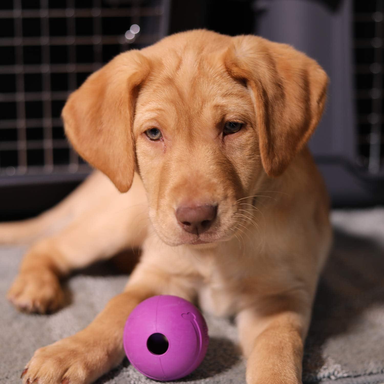 Pelotas Chew King para Perros 6.35 cm Caucho Natural 8 Unidades