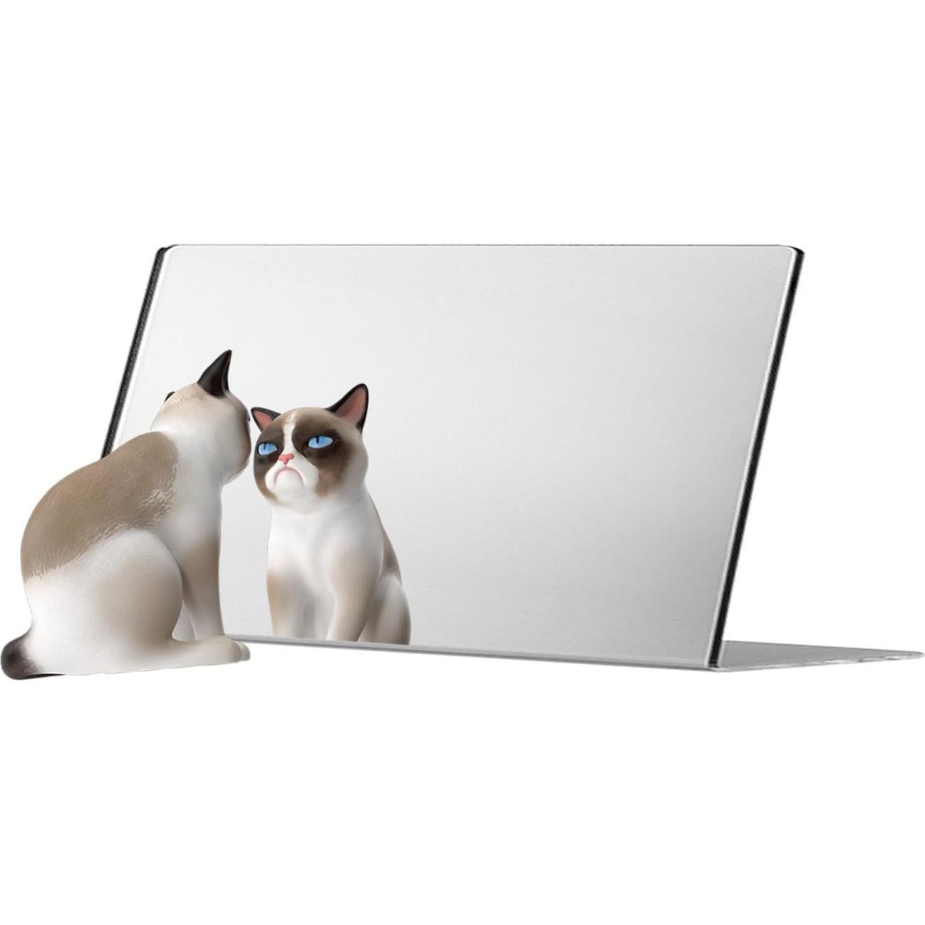 Espejo Acrílico 18 x 13 cm Respaldo Inclinable Marketing Holders