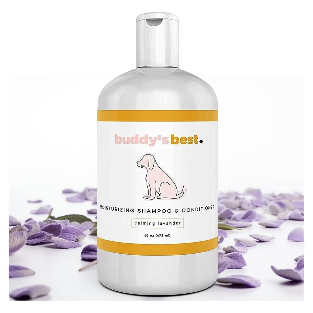 Champú y Acondicionador para Perros Buddy's Best 473ml - Avena y Lavanda