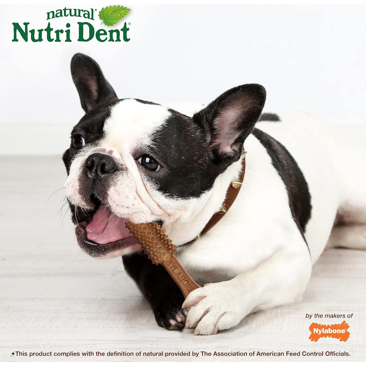 Golosinas Dentales para Perros Nylabone Nutri Dent Filet Mignon 20 Unidades