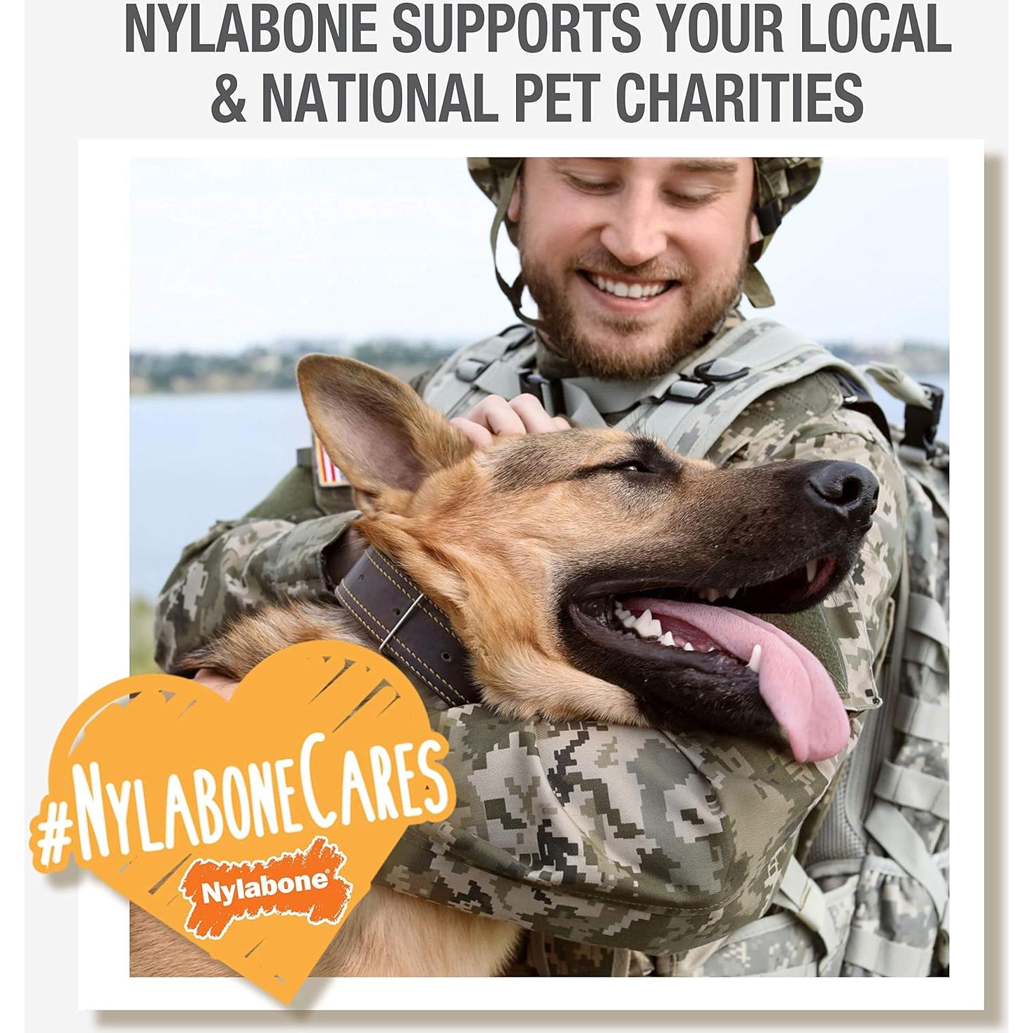 Golosinas Dentales para Perros Nylabone Nutri Dent Filet Mignon 20 Unidades