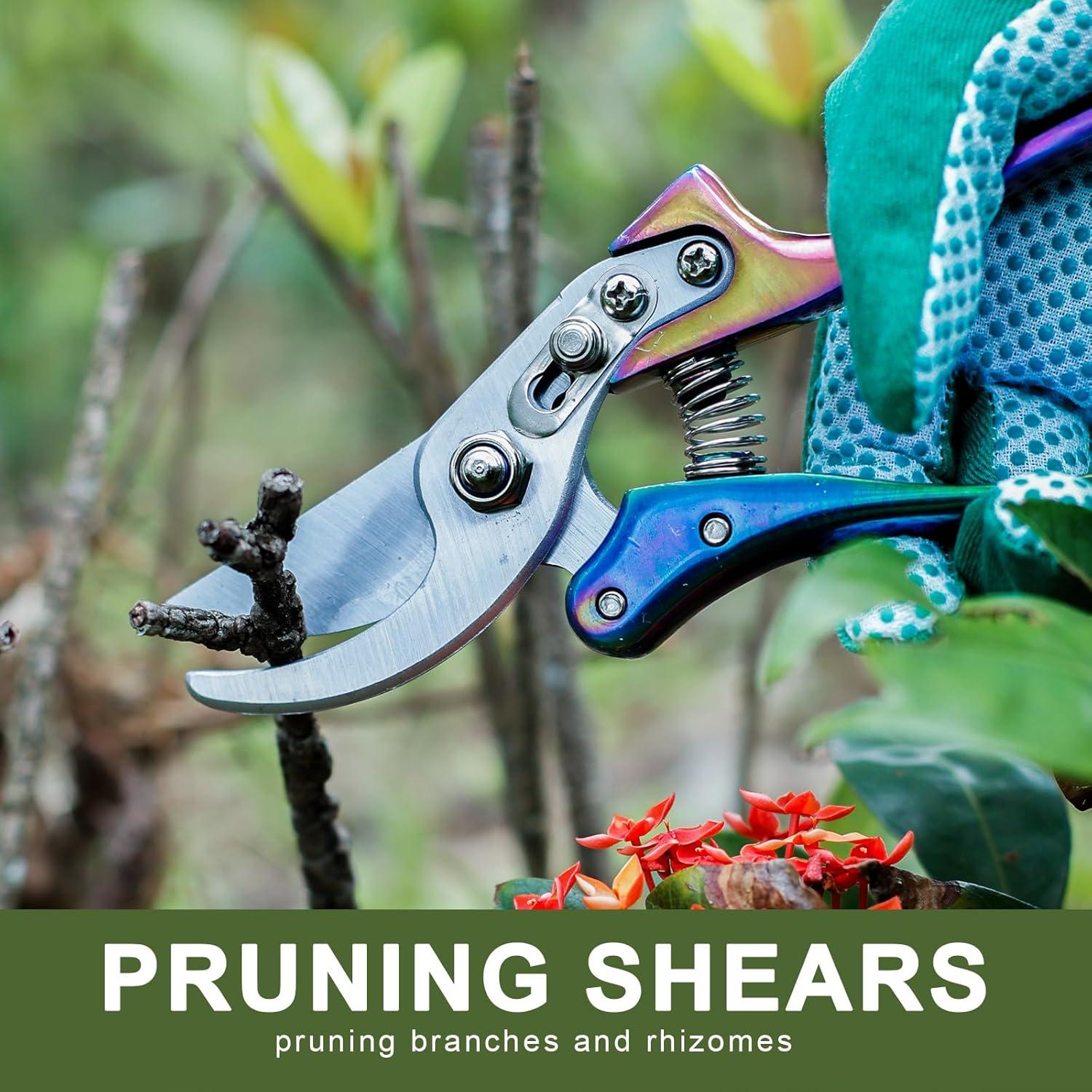 Juego de Herramientas de Jardinería Nirvruxs 3 Piezas Arcoíris