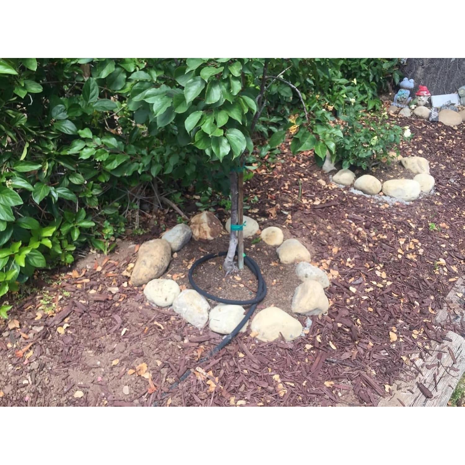 Sistema de Riego por Goteo Oscorna 15.24m + 7.62m Manguera