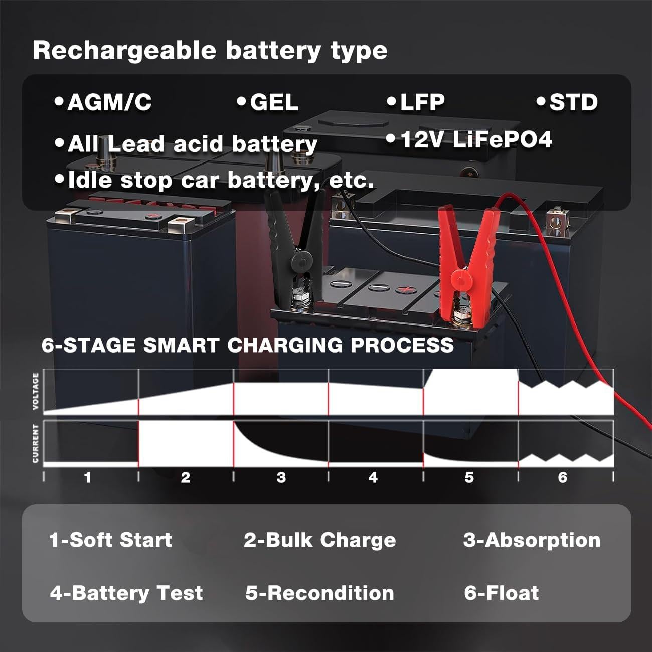 Cargador de Batería Inteligente LVYUAN 20A 12V/24V para Coche