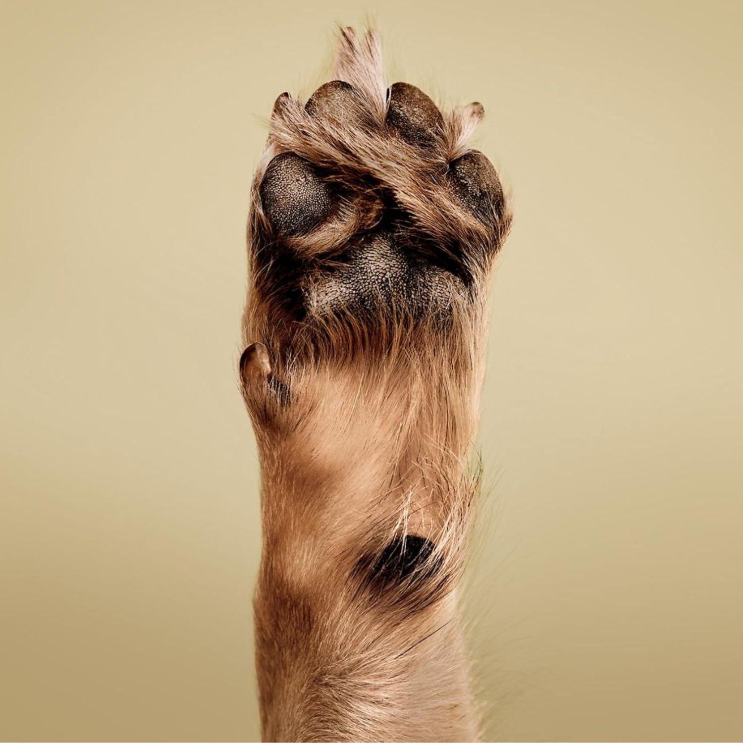 Acondicionador Calmante de Avena Paul Mitchell 500 ml