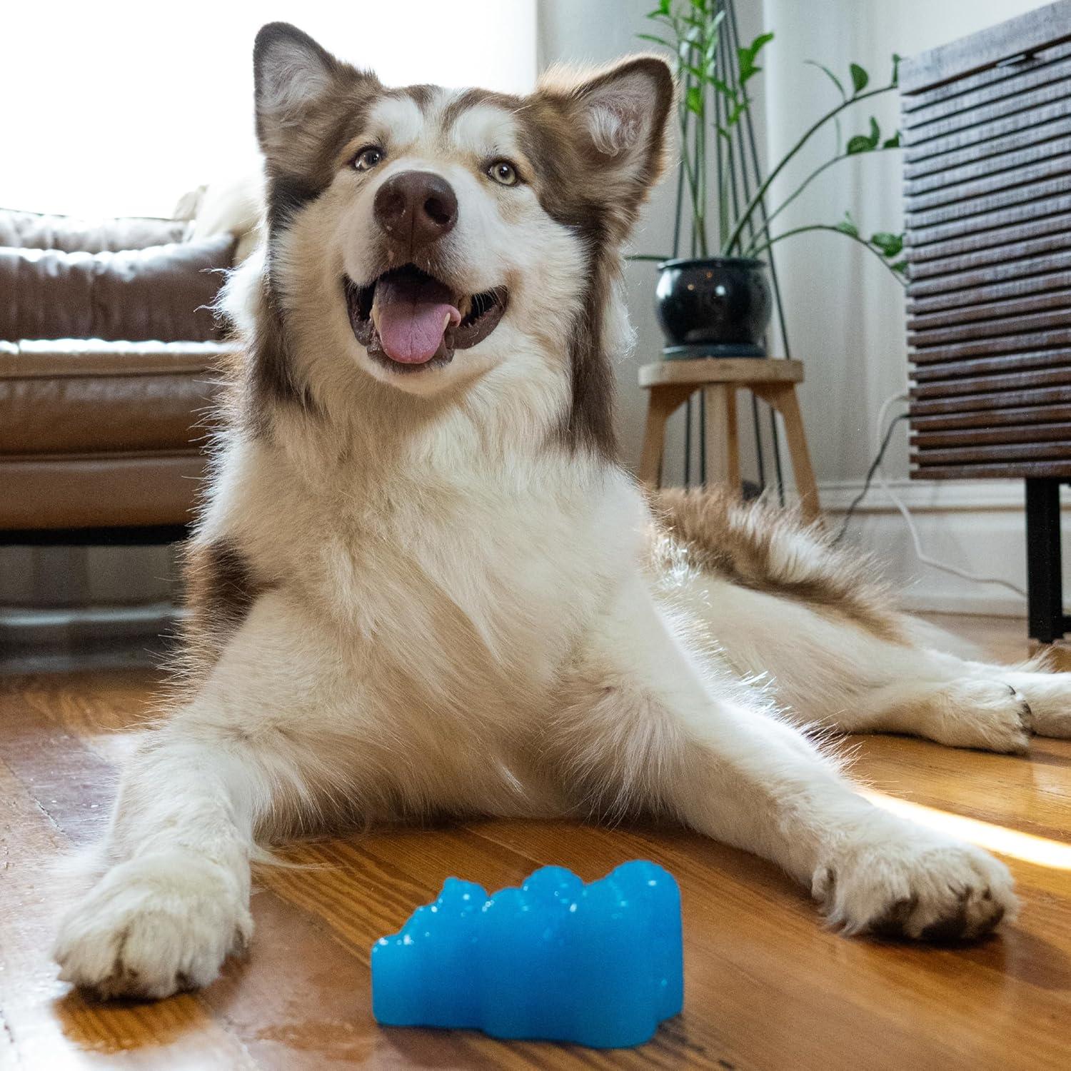 Juguete Masticable para Perros Outward Hound Gummiez Bear 2-en-1