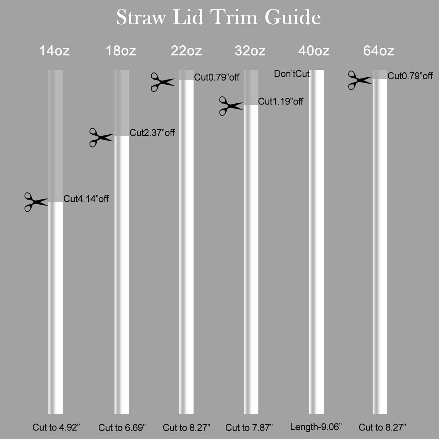 Tapa de Pajita DBIW para Botellas Hydro Flask 12-40 oz