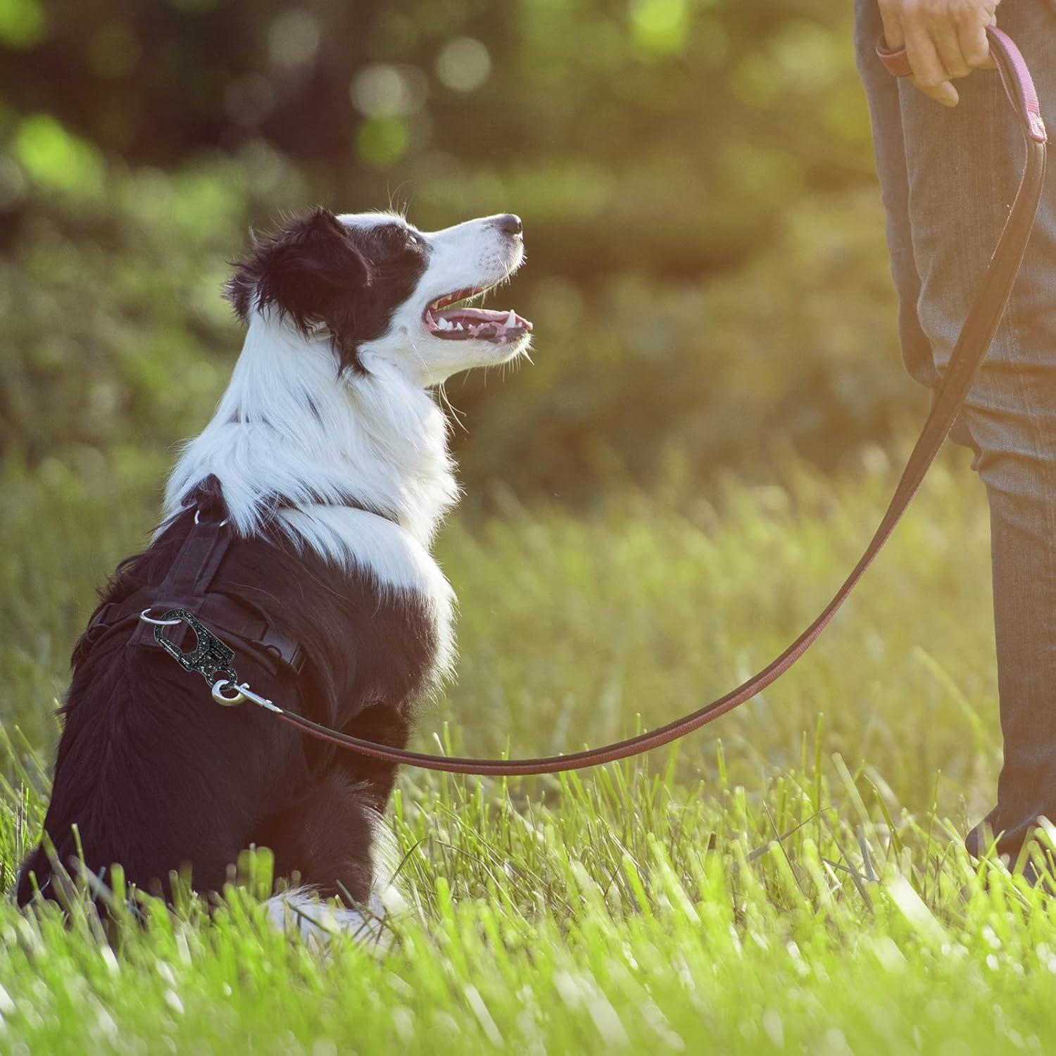 Clip de Carabinero Ahiller CD-LKK 3" Doble Anti-Apertura