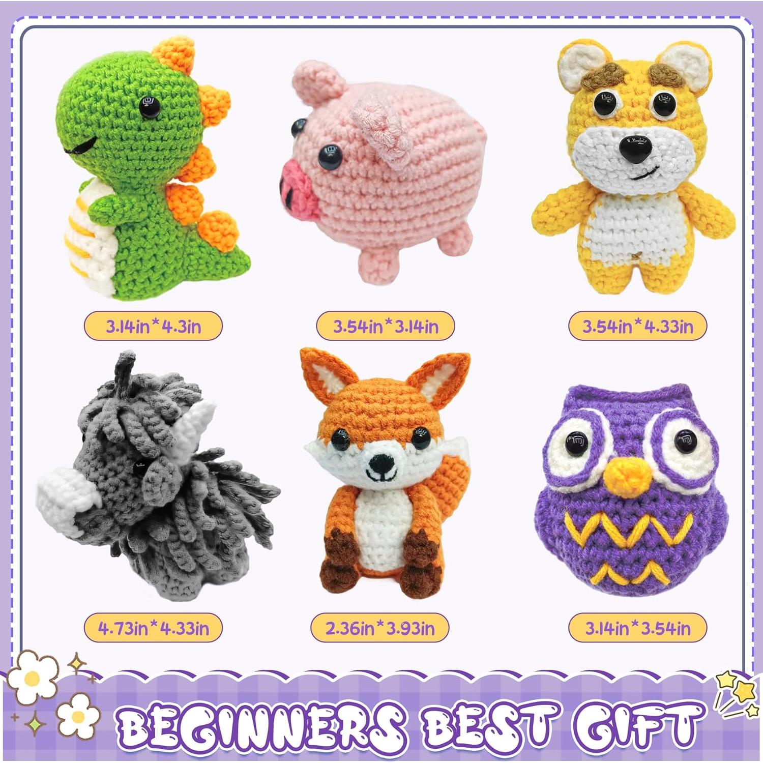 Kit de Crochet 6 Piezas VICTORIA ANNA para Principiantes