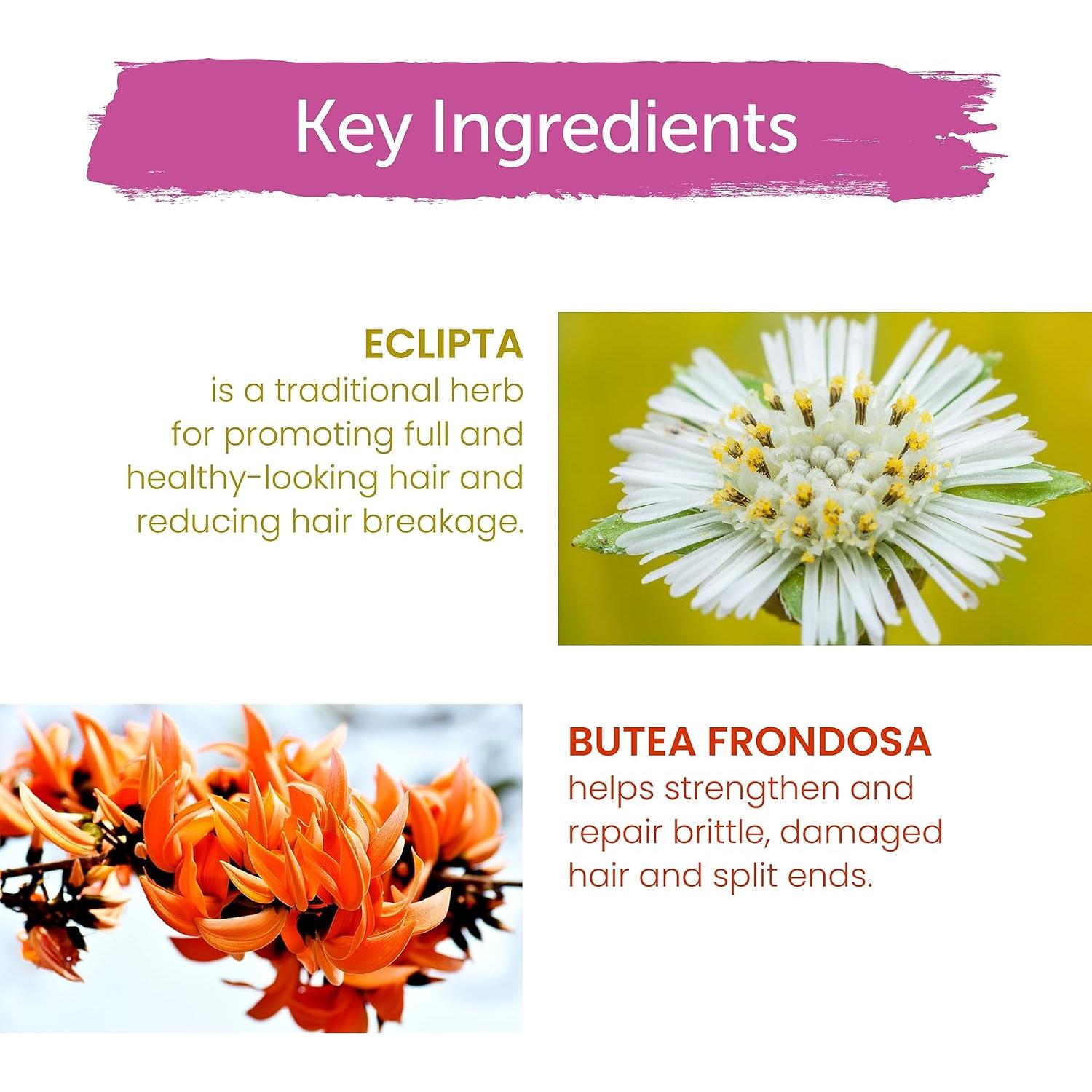 Champú Anti-Ruptura Himalaya 400 ml - Repara Cabello Dañado