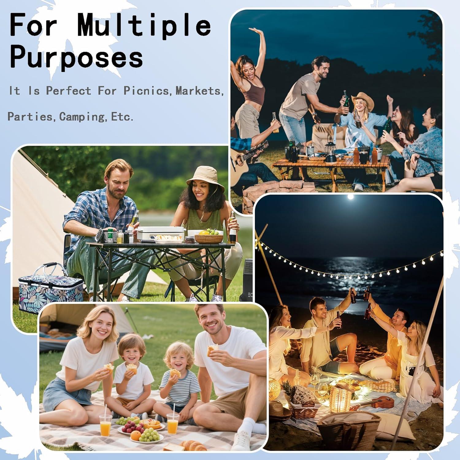 Cesta de Picnic Aislada Aikolesa 25L Plegable Azul