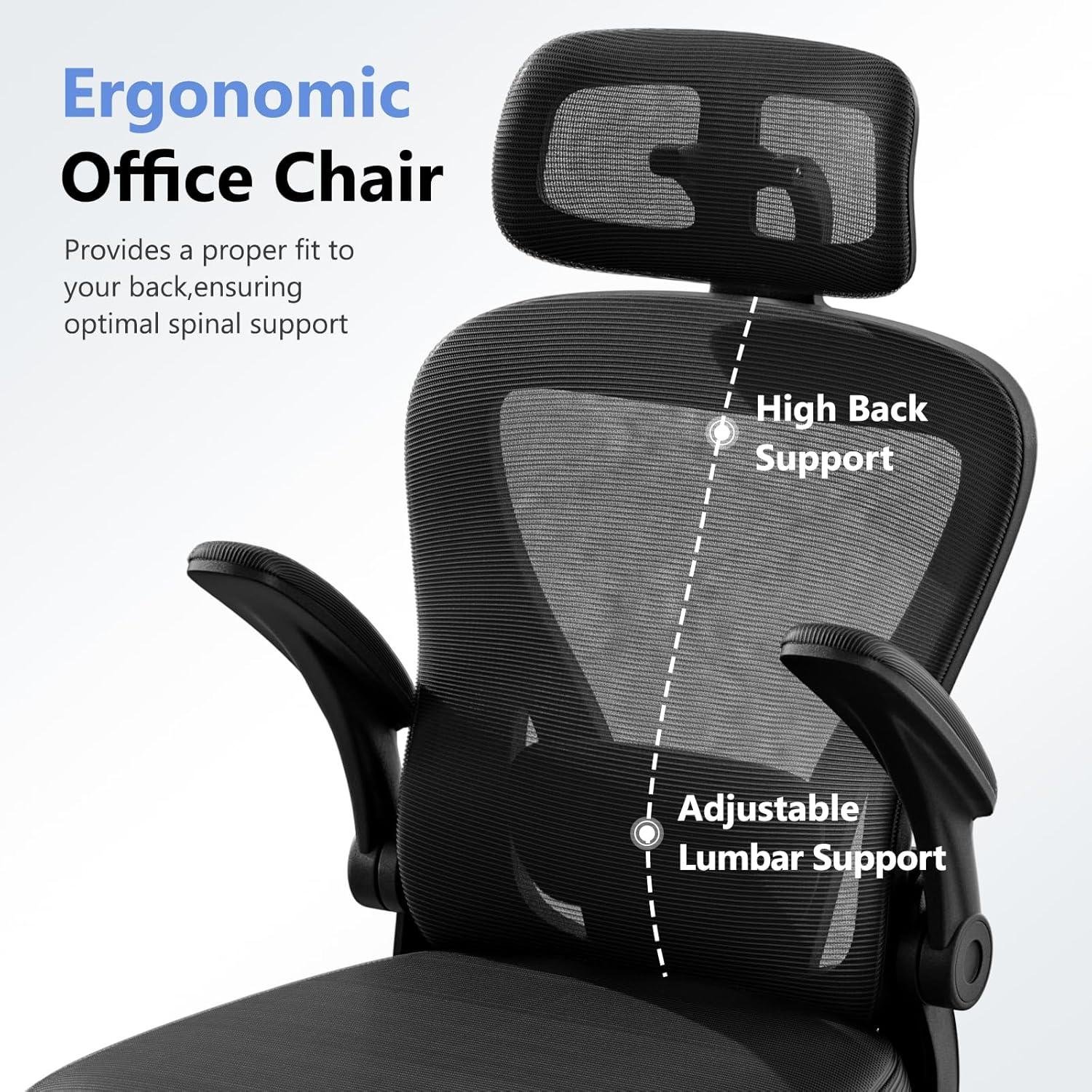 Silla de Oficina Ergonómica SeekFancy M903 con Soporte Lumbar