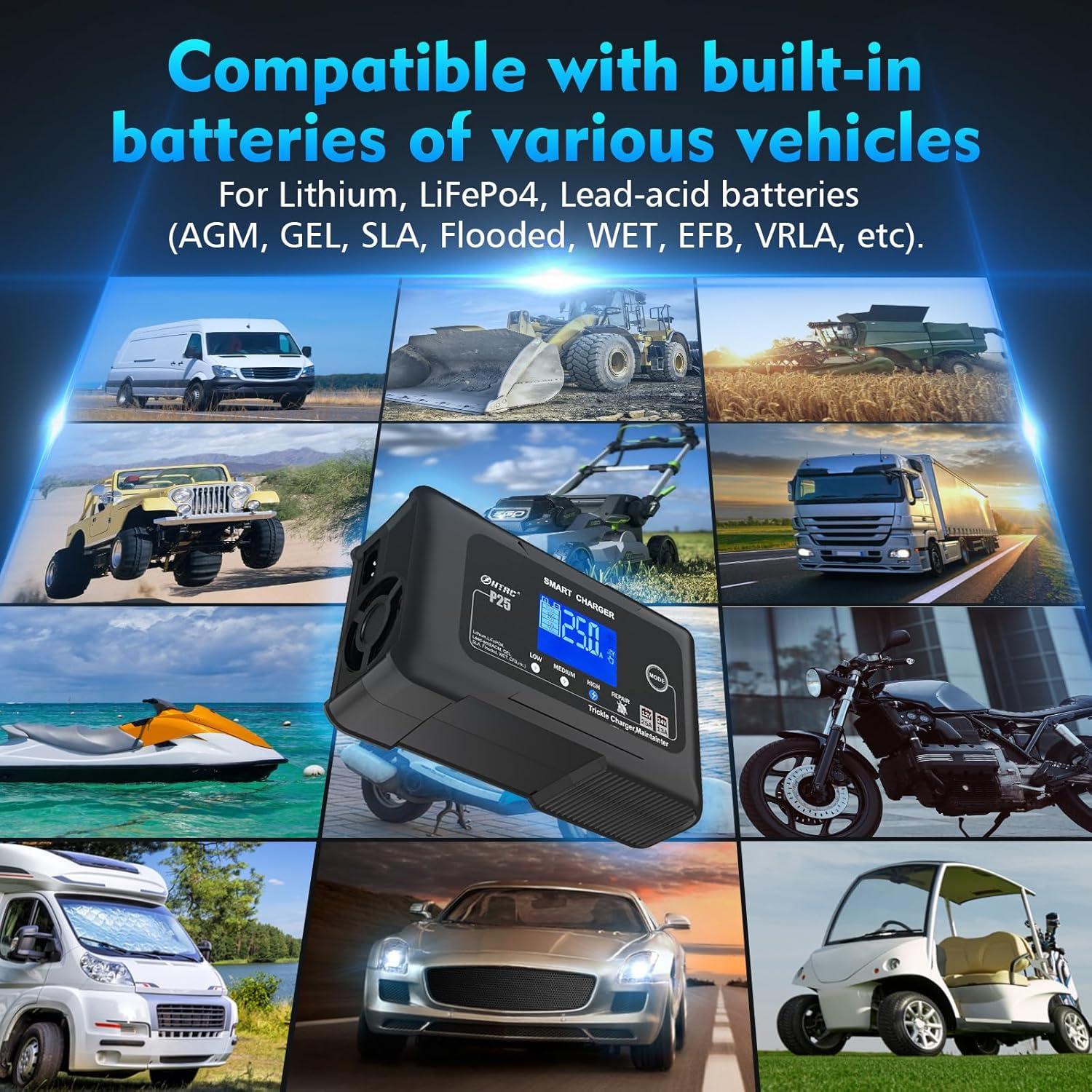 Cargador de Batería Inteligente 12V 25A Dght - Mantenedor