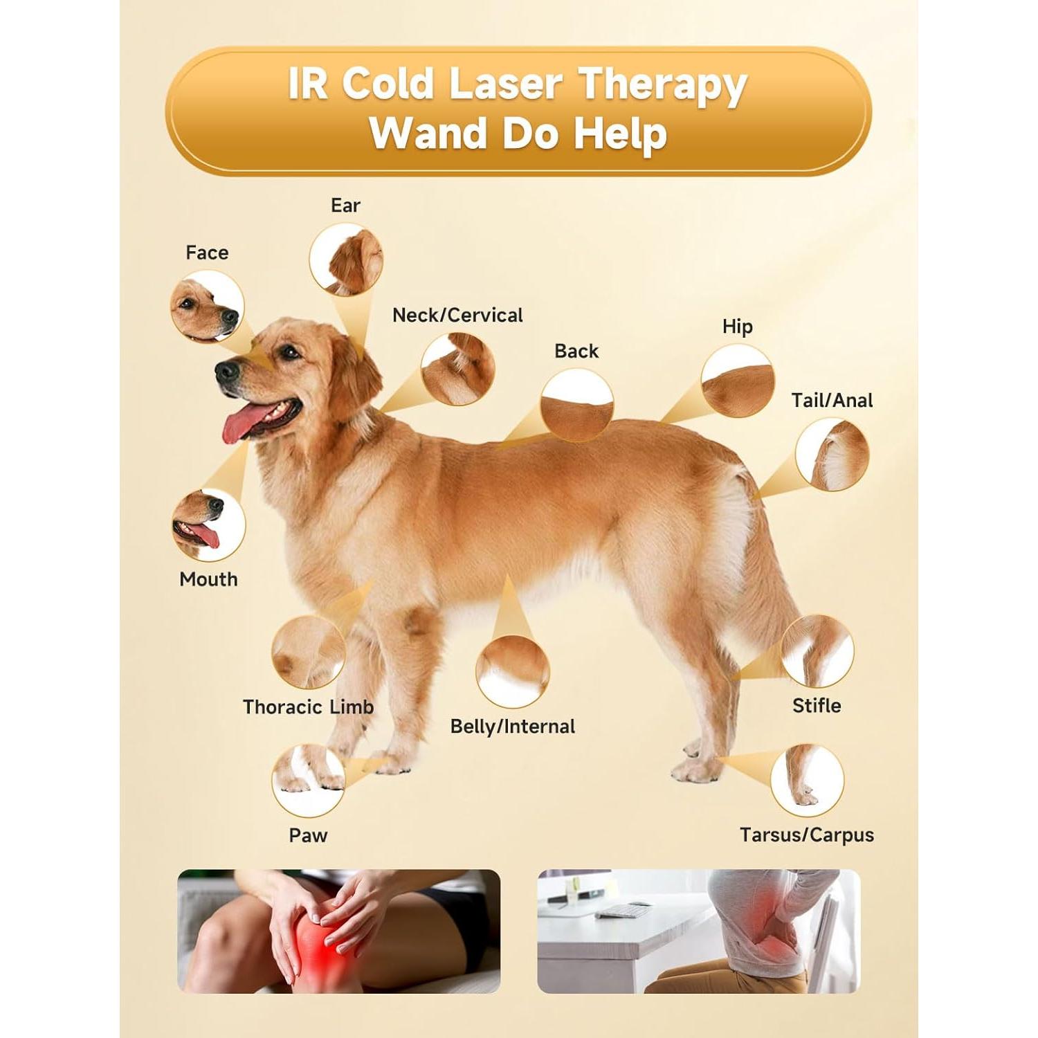 Dispositivo Terapia Láser Frío Azilaser para Mascotas 808/650 nm