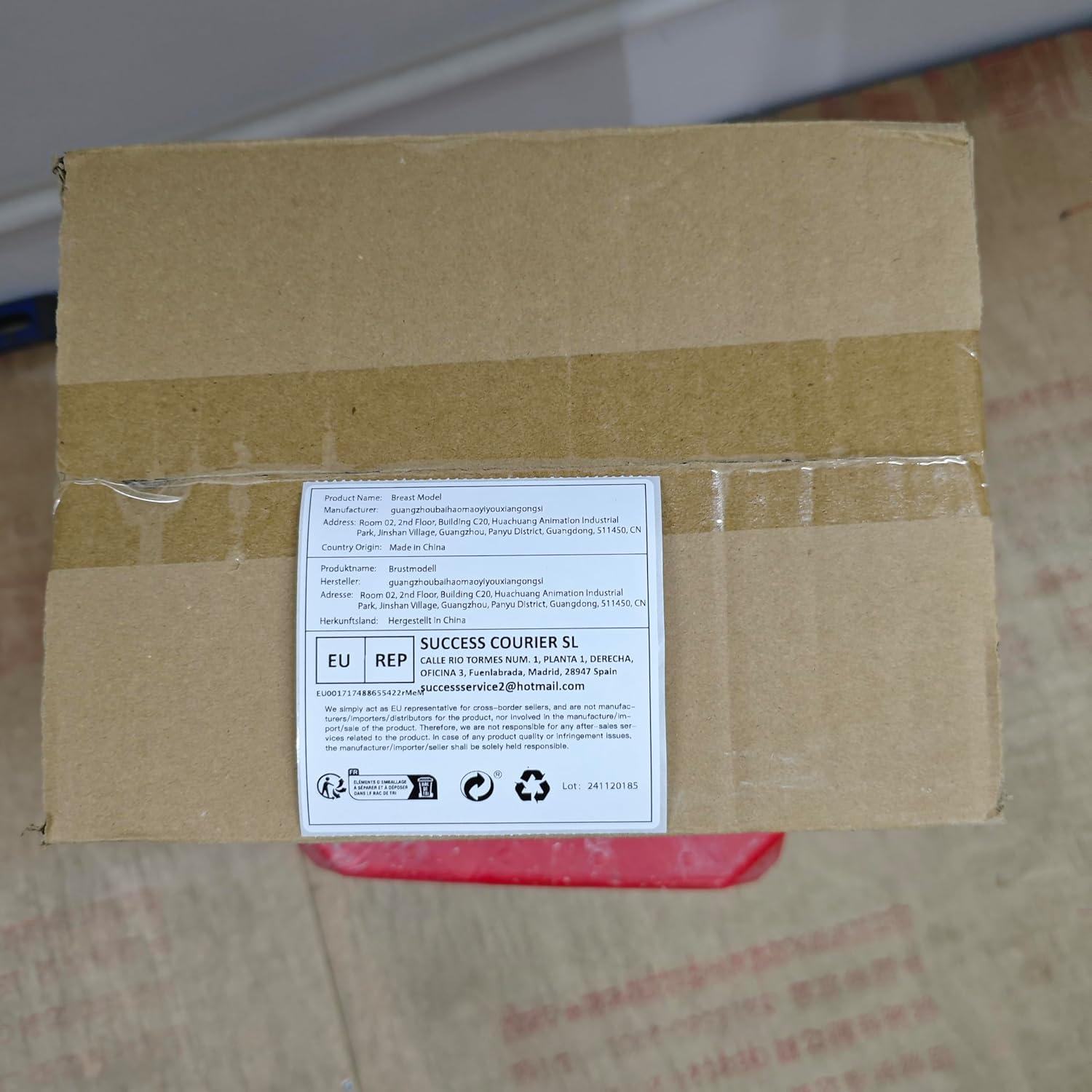 Modelo Anatómico de Mama No Lactante Ultrassist con Tarjeta de Estudio