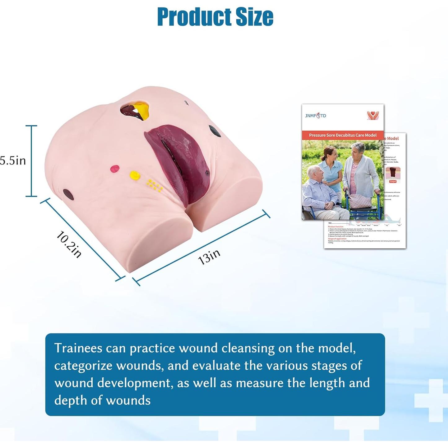 Modelo de Úlcera por Decúbito JNMFTD - 4 Etapas Realistas