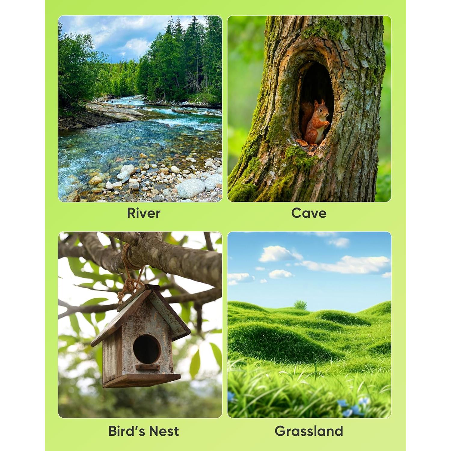 Cámara de Borescopio Serpiente IWOBAC con Luz y SD 16GB