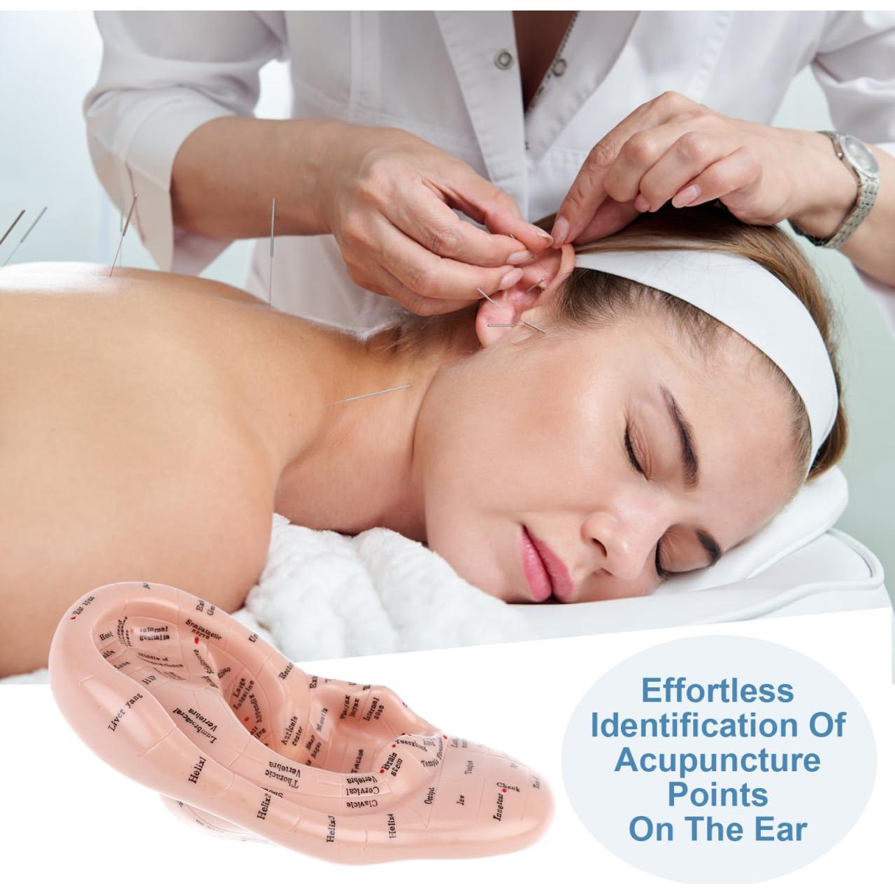 Modelo de Oreja Humana CLISPEED 17x10 cm para Reflexología