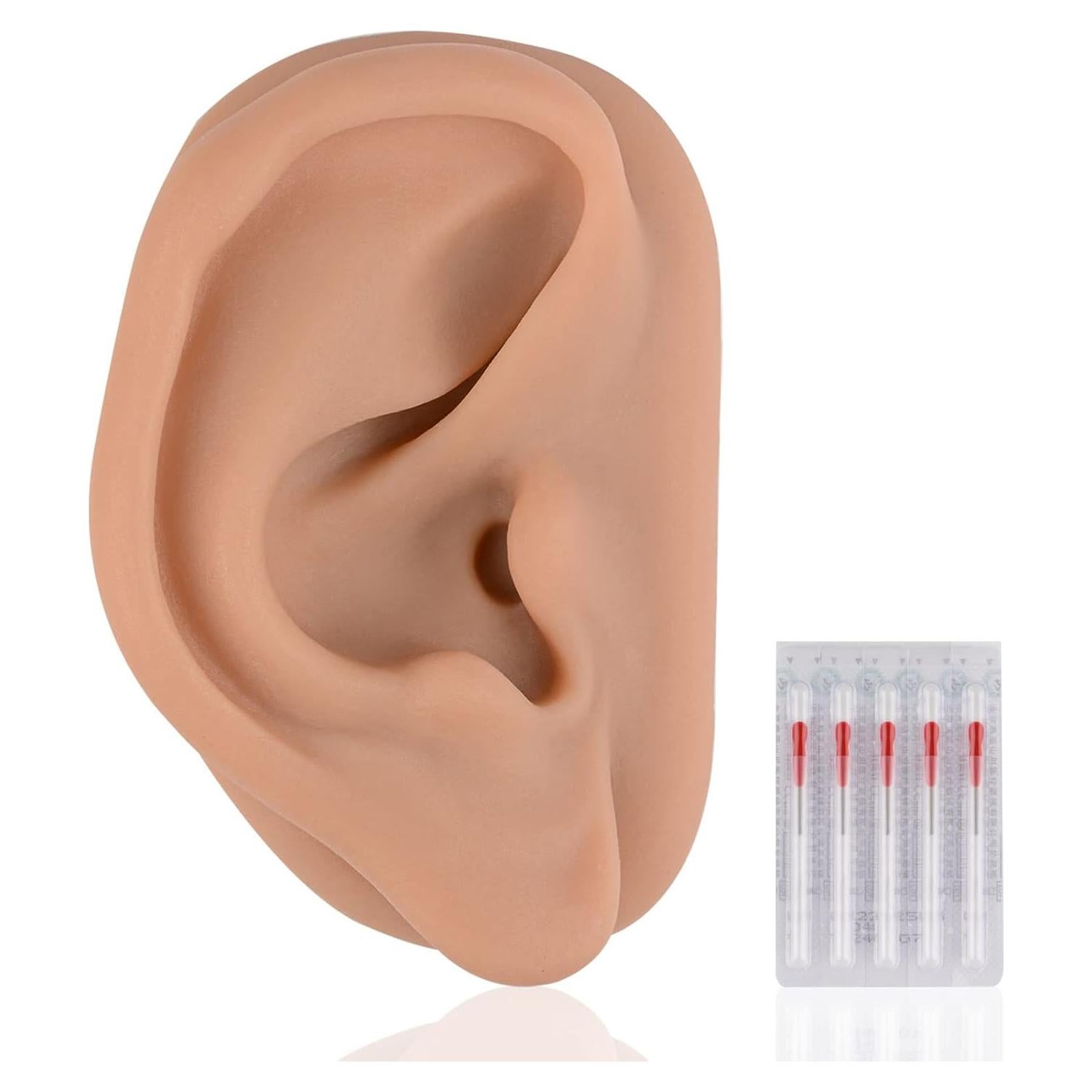 Simulador de Oído de Silicona SimCoach 17.1x11.3cm Acupuntura