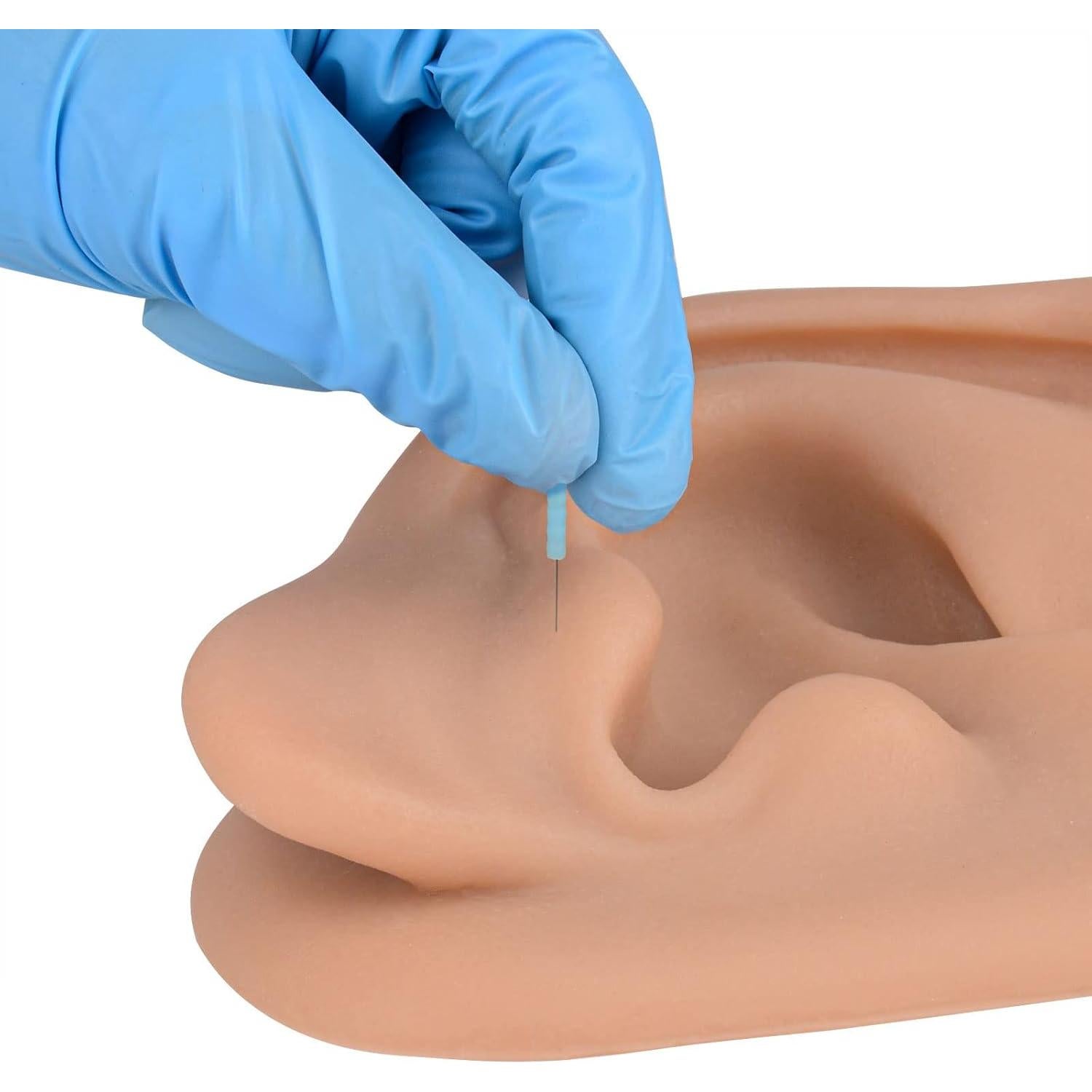 Simulador de Oído de Silicona SimCoach 17.1x11.3cm Acupuntura