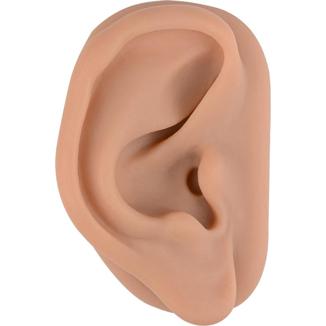 Simulador de Oído de Silicona SimCoach 17.1x11.3cm Acupuntura