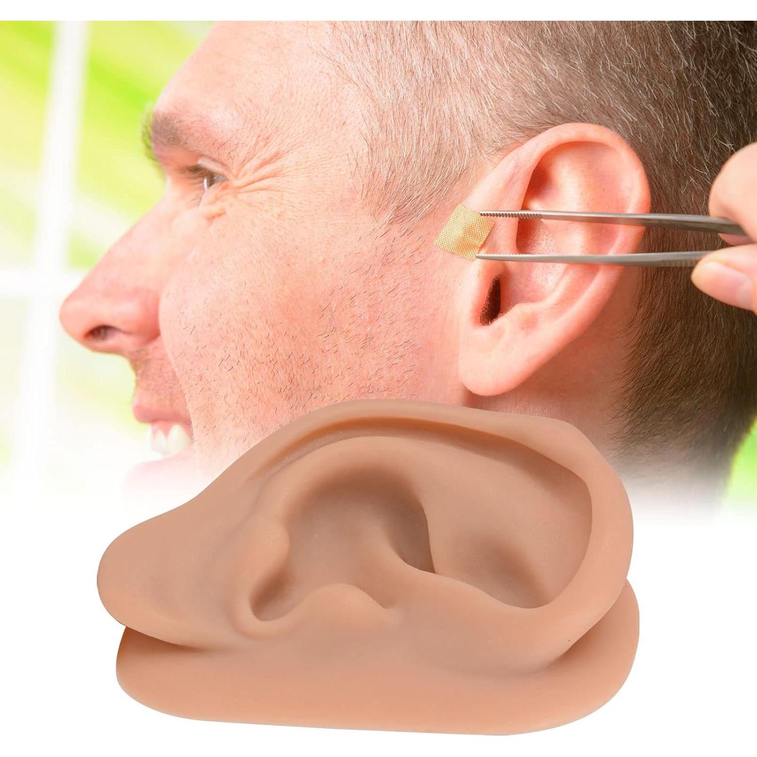 Simulador de Oído de Silicona SimCoach 17.1x11.3cm Acupuntura