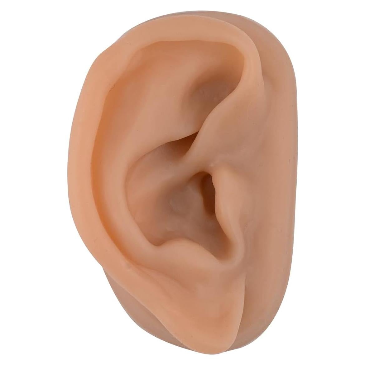 Modelo de Oído de Silicona SimCoach para Acupuntura y Piercing