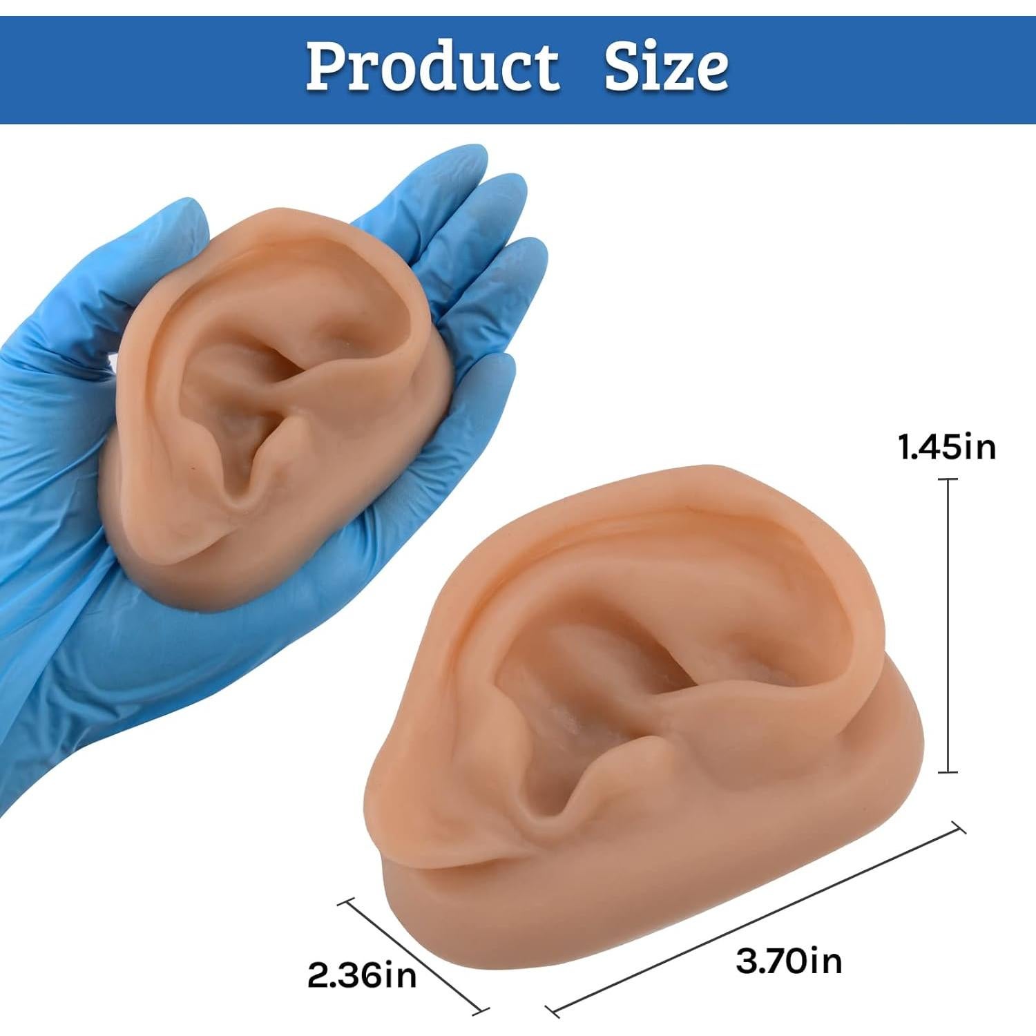 Modelo de Oído de Silicona SimCoach para Acupuntura y Piercing
