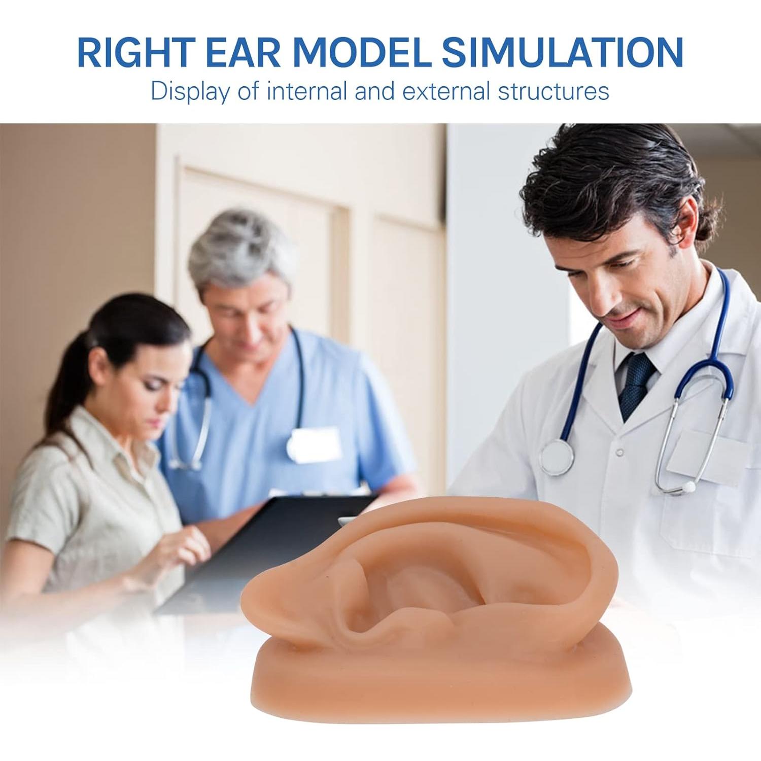 Modelo de Oído de Silicona SimCoach para Acupuntura y Piercing