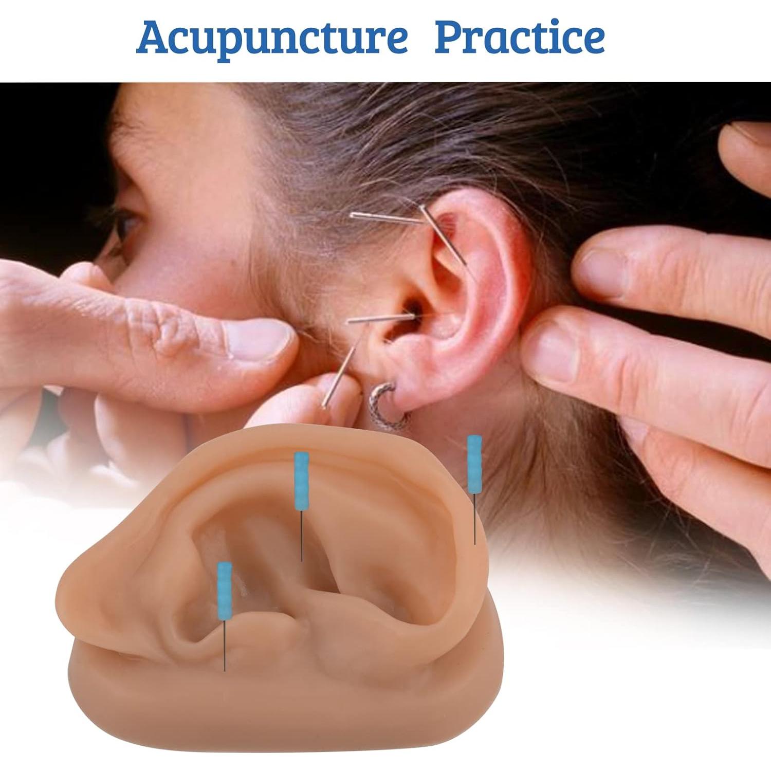 Modelo de Oído de Silicona SimCoach para Acupuntura y Piercing