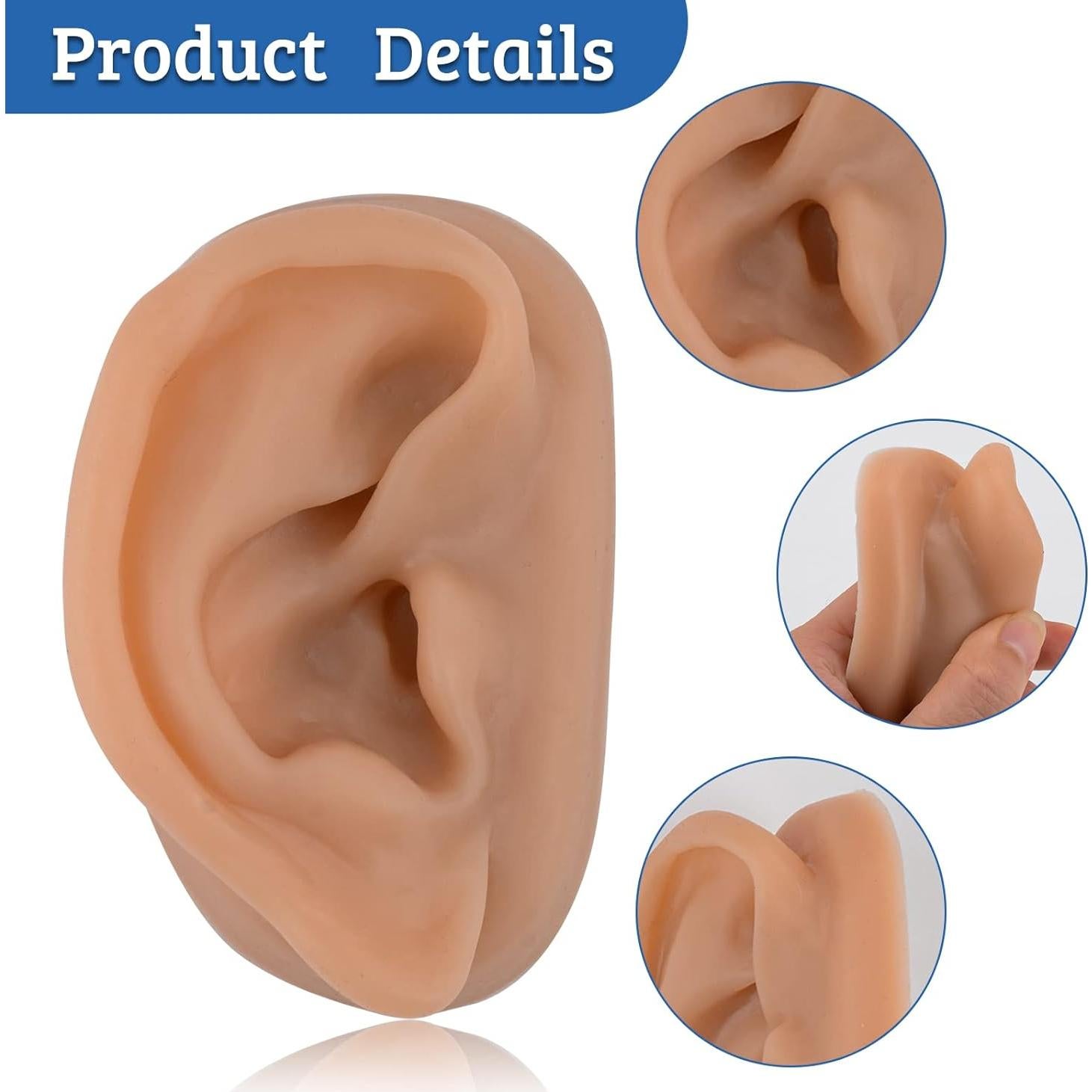 Modelo de Oído de Silicona SimCoach para Acupuntura y Piercing