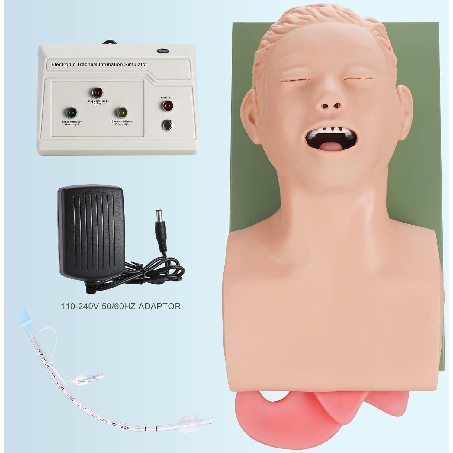 Simulador de Intubación Endotraqueal Healthible - Maniquí Adulto PVC