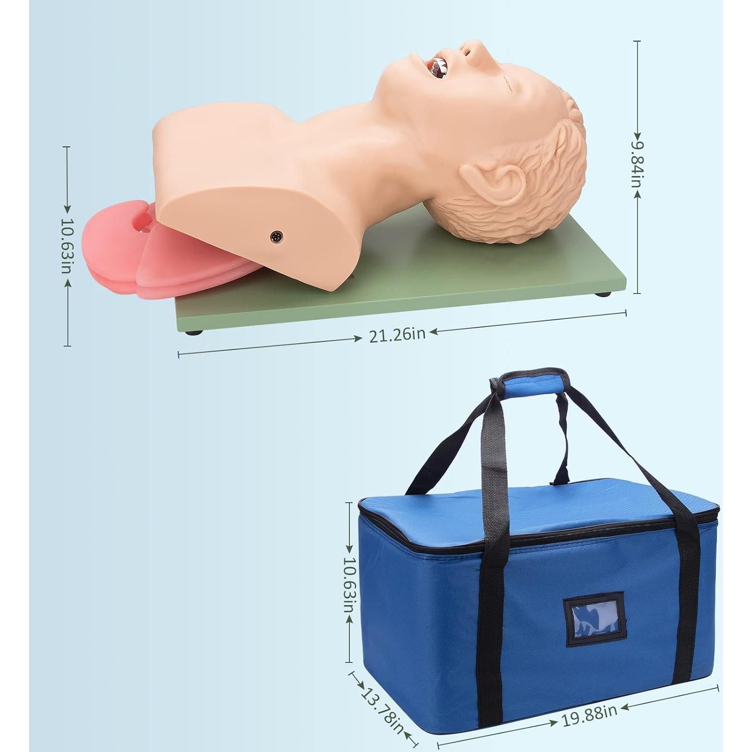 Simulador de Intubación Endotraqueal Healthible - Maniquí Adulto PVC