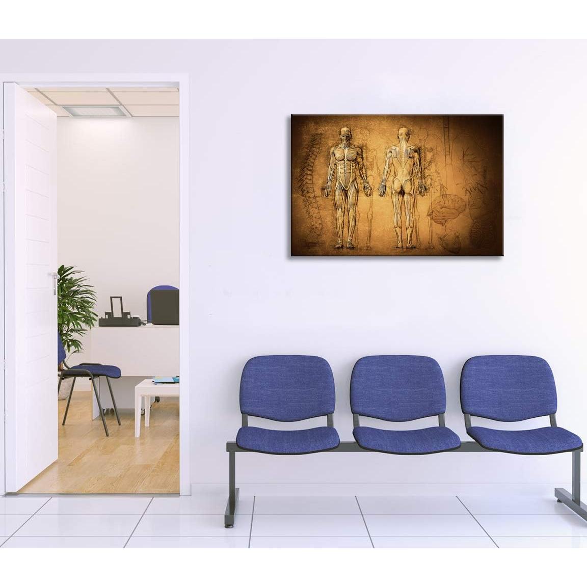 Póster Vintage Sistema Muscular y Esqueleto KLVOS 60x90cm