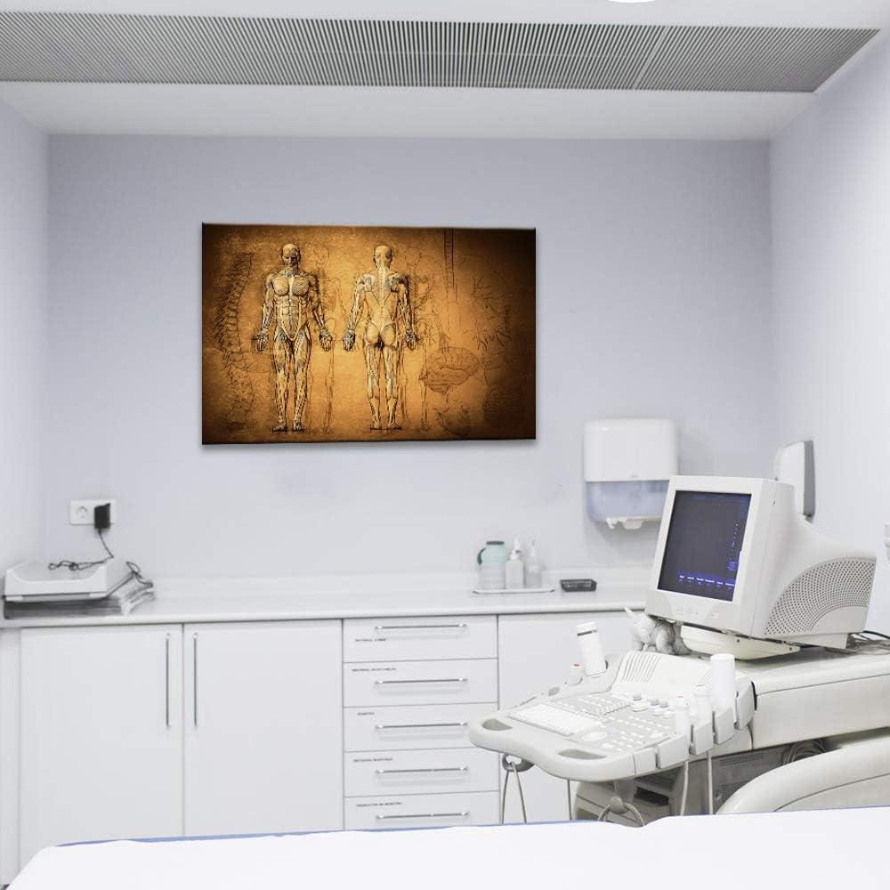 Póster Vintage Sistema Muscular y Esqueleto KLVOS 60x90cm