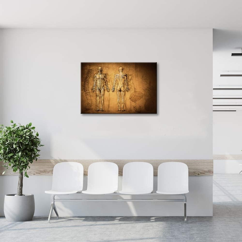 Póster Vintage Sistema Muscular y Esqueleto KLVOS 60x90cm