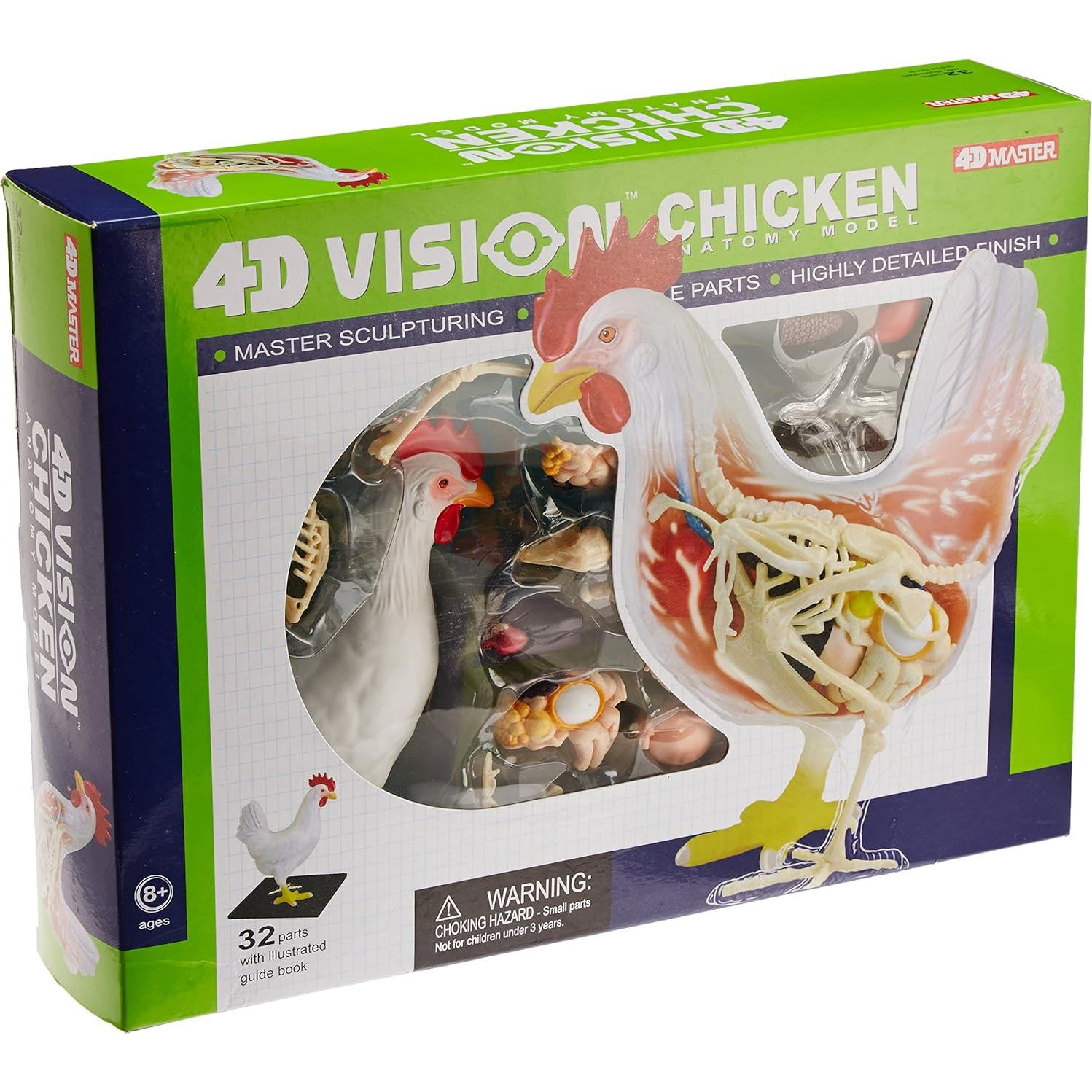 Modelo de Esqueleto y Anatomía de Pollo 4D Tedco - 32 Partes