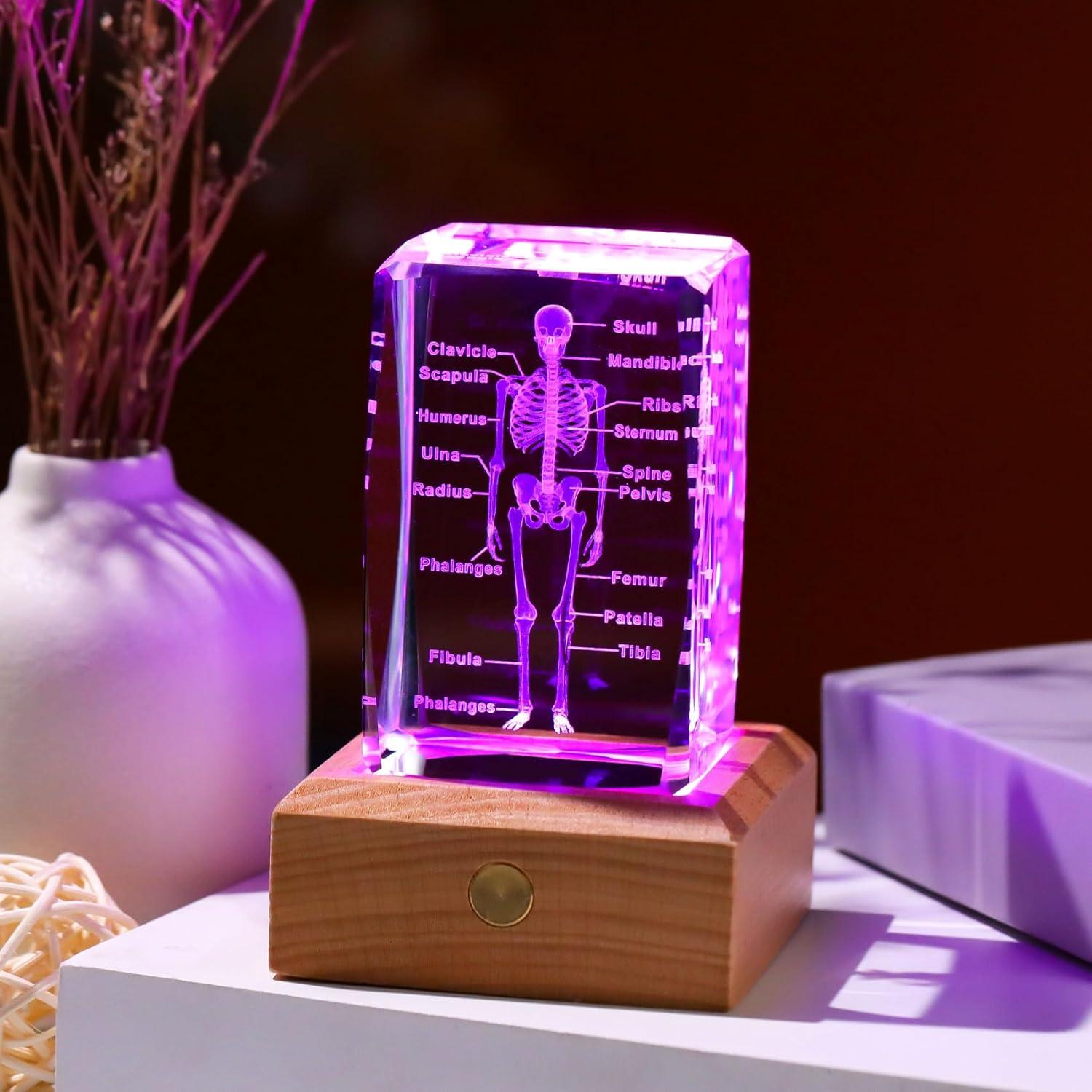 Modelo 3D de Esqueleto Humano en Cristal LED Arikyrist