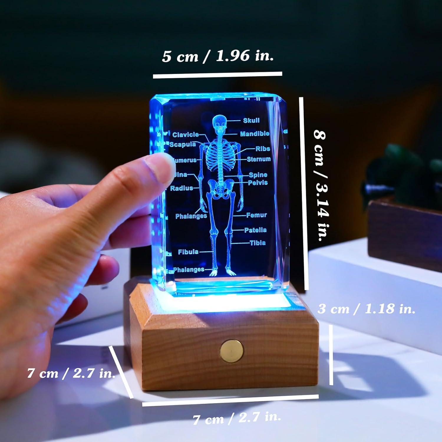 Modelo 3D de Esqueleto Humano en Cristal LED Arikyrist