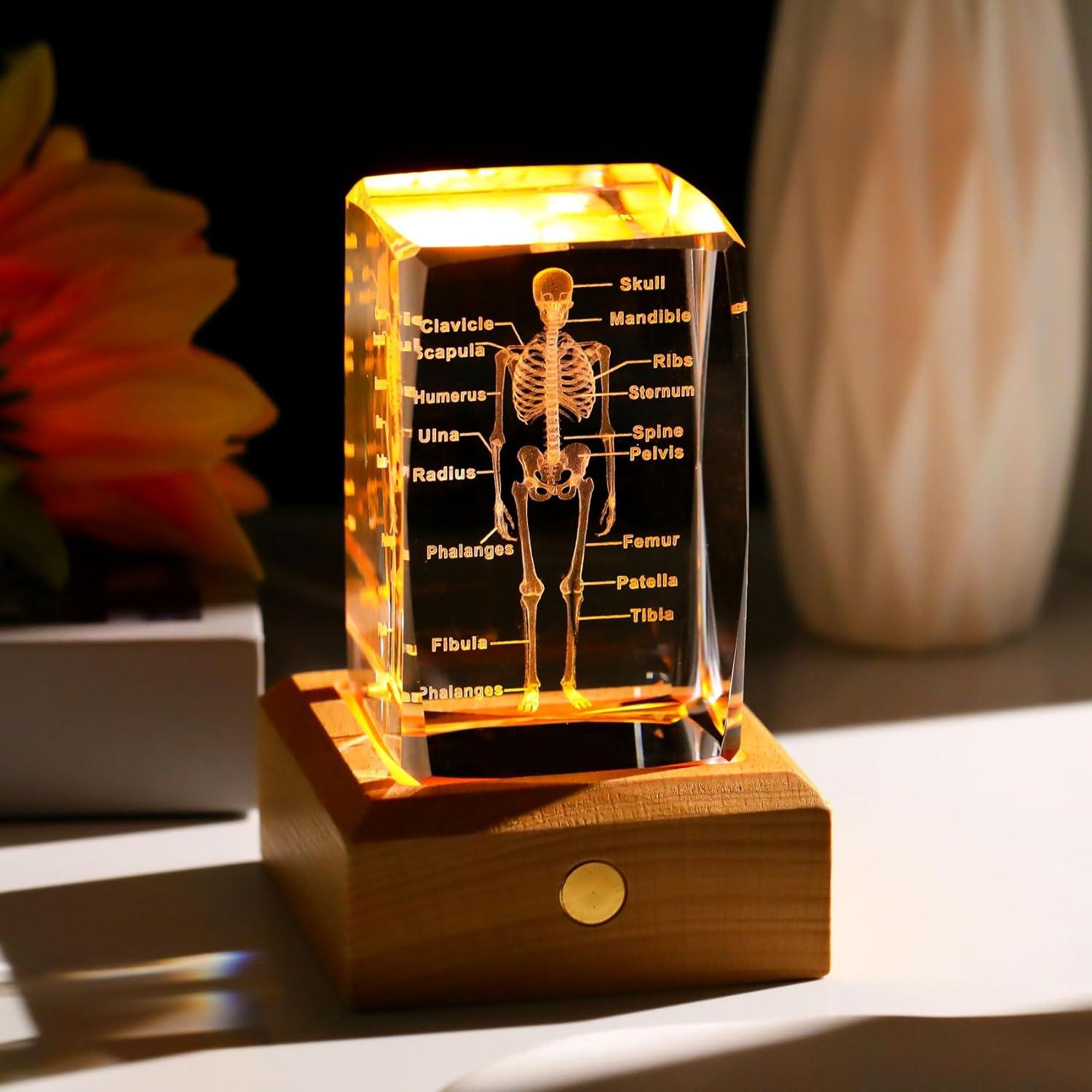 Modelo 3D de Esqueleto Humano en Cristal LED Arikyrist