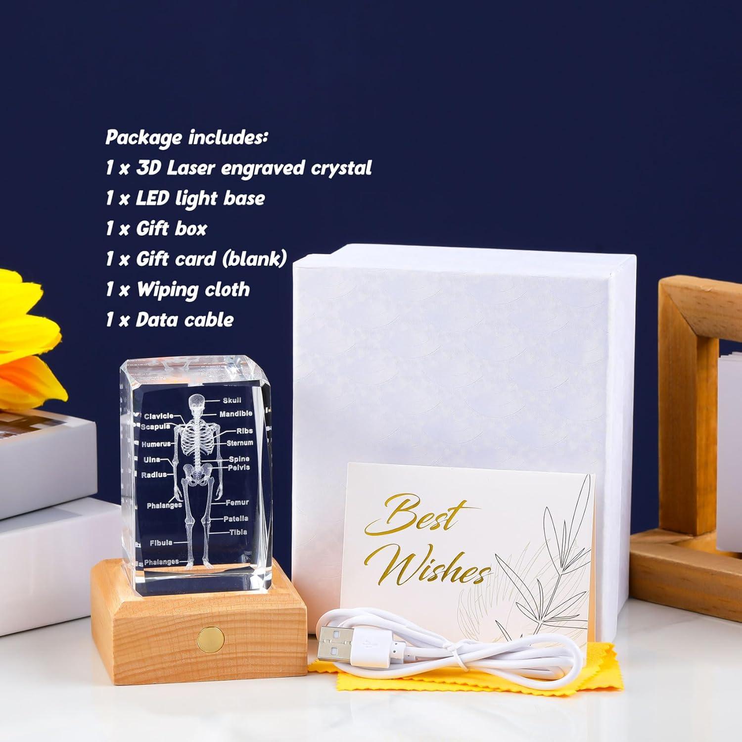 Modelo 3D de Esqueleto Humano en Cristal LED Arikyrist